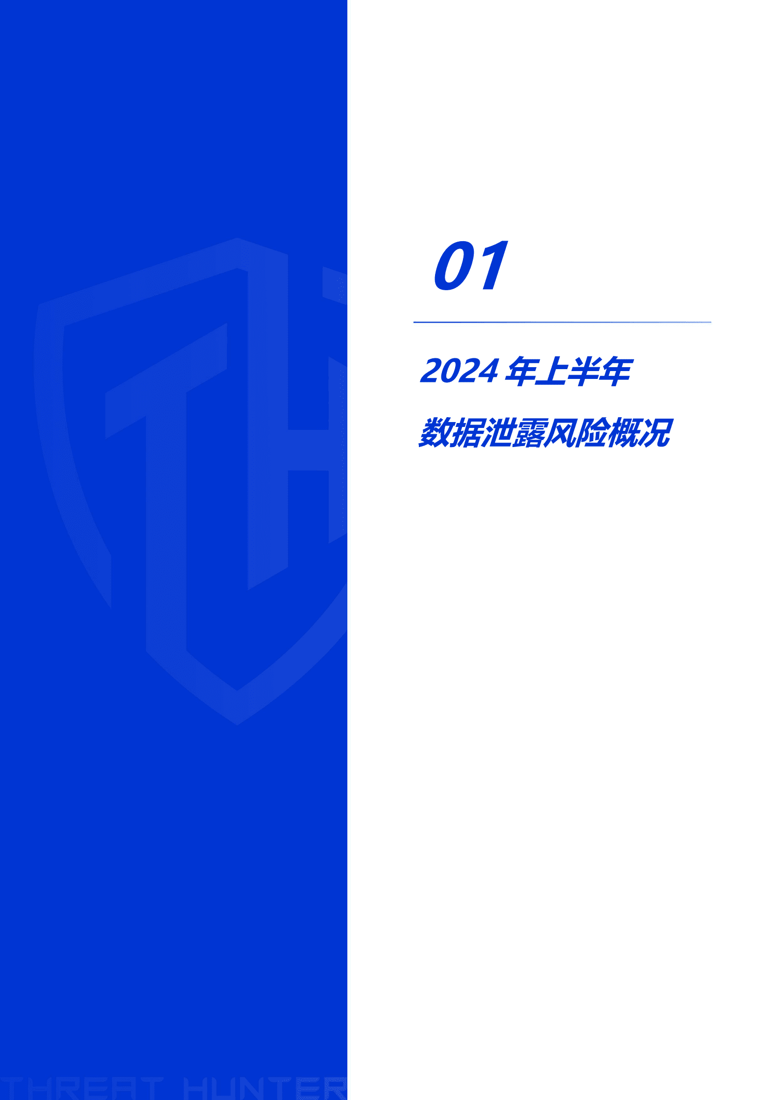 威胁猎人：2024年上半年数据泄露风险态势报告 第5页
