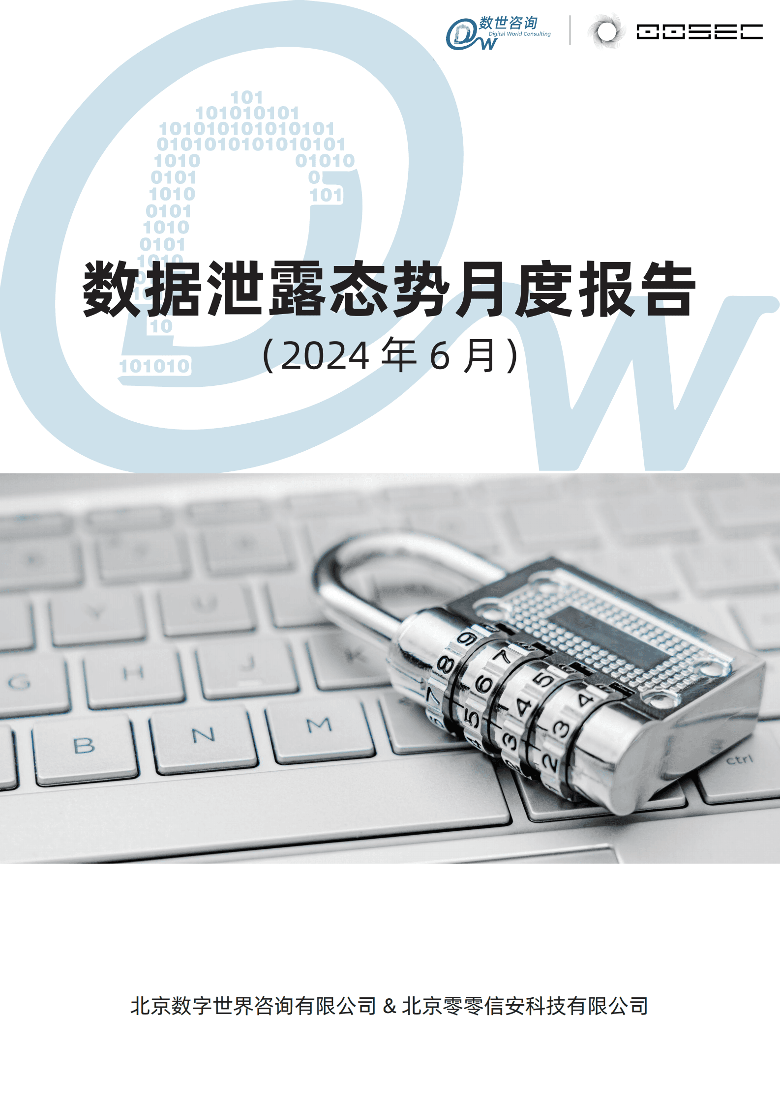 数世咨询：全球数据泄露态势（2024.6） 第1页