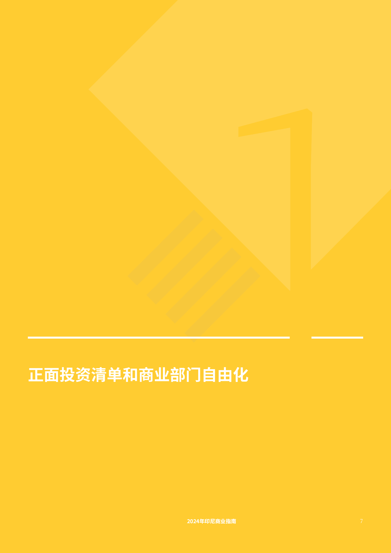 德勤：2024年印度尼西亚商业环境简介报告 第7页