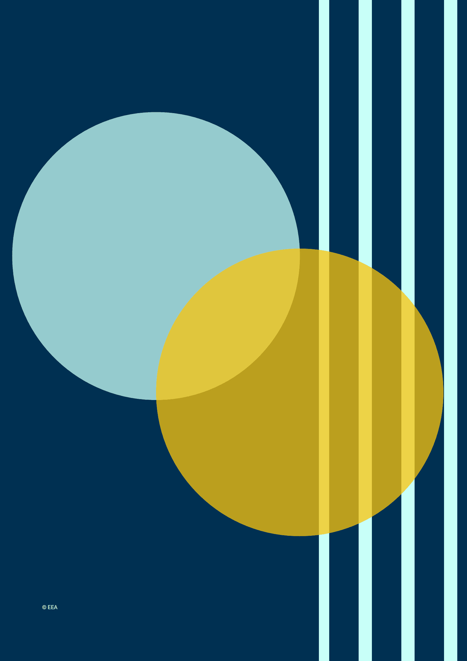 欧洲环境署：2024加速循环经济在欧洲的发展：现状与展望报告（英文版） 第8页