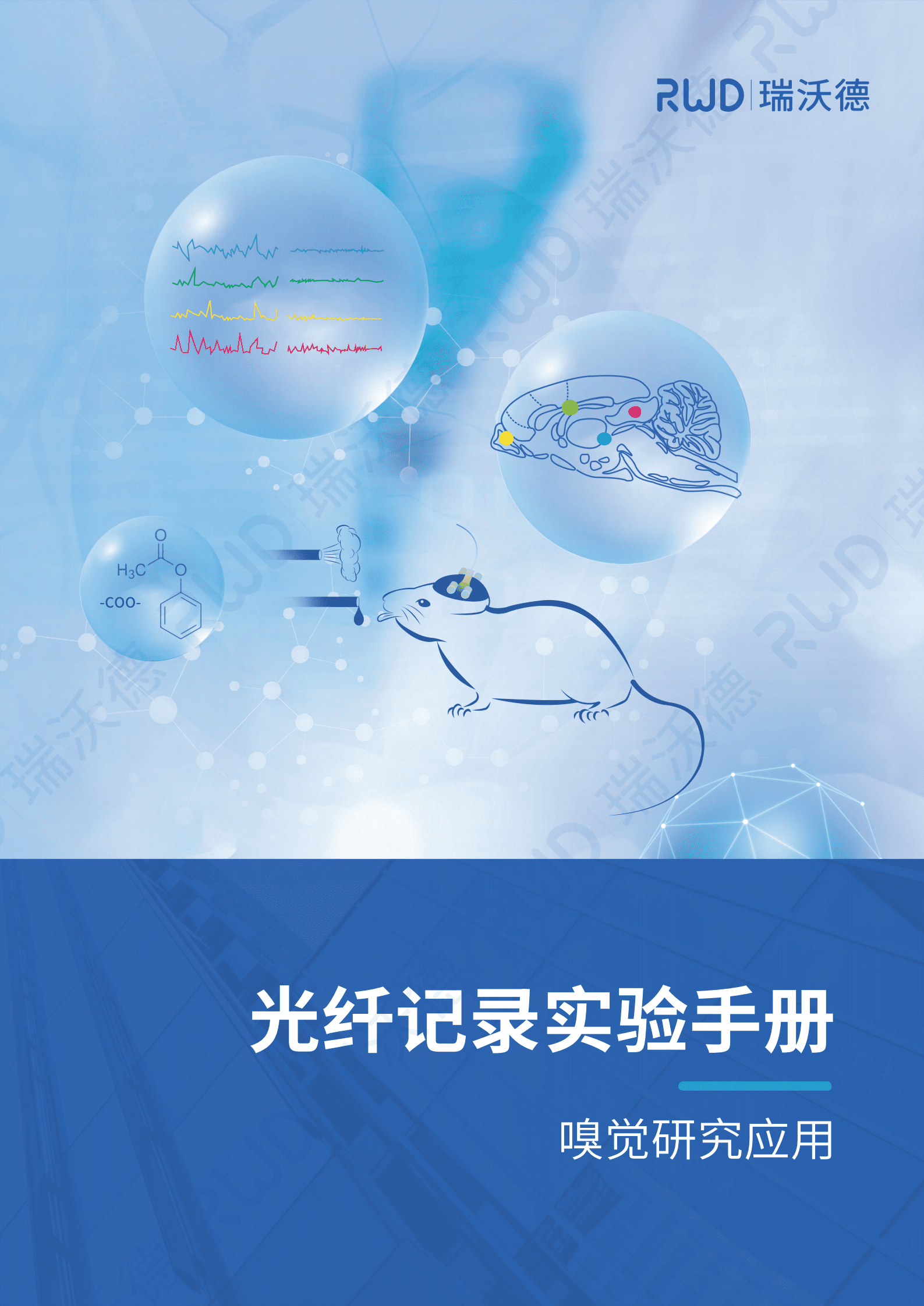 瑞沃德：光纤记录嗅觉研究应用白皮书 第1页