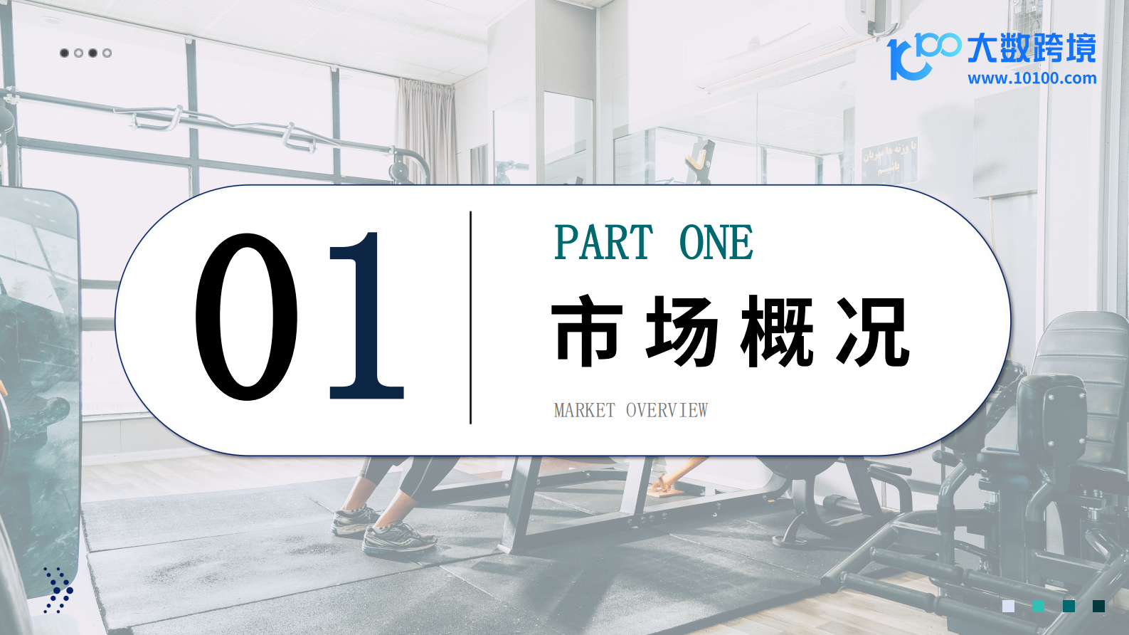 大数跨境：2024全球健身器材市场洞察报告 第4页