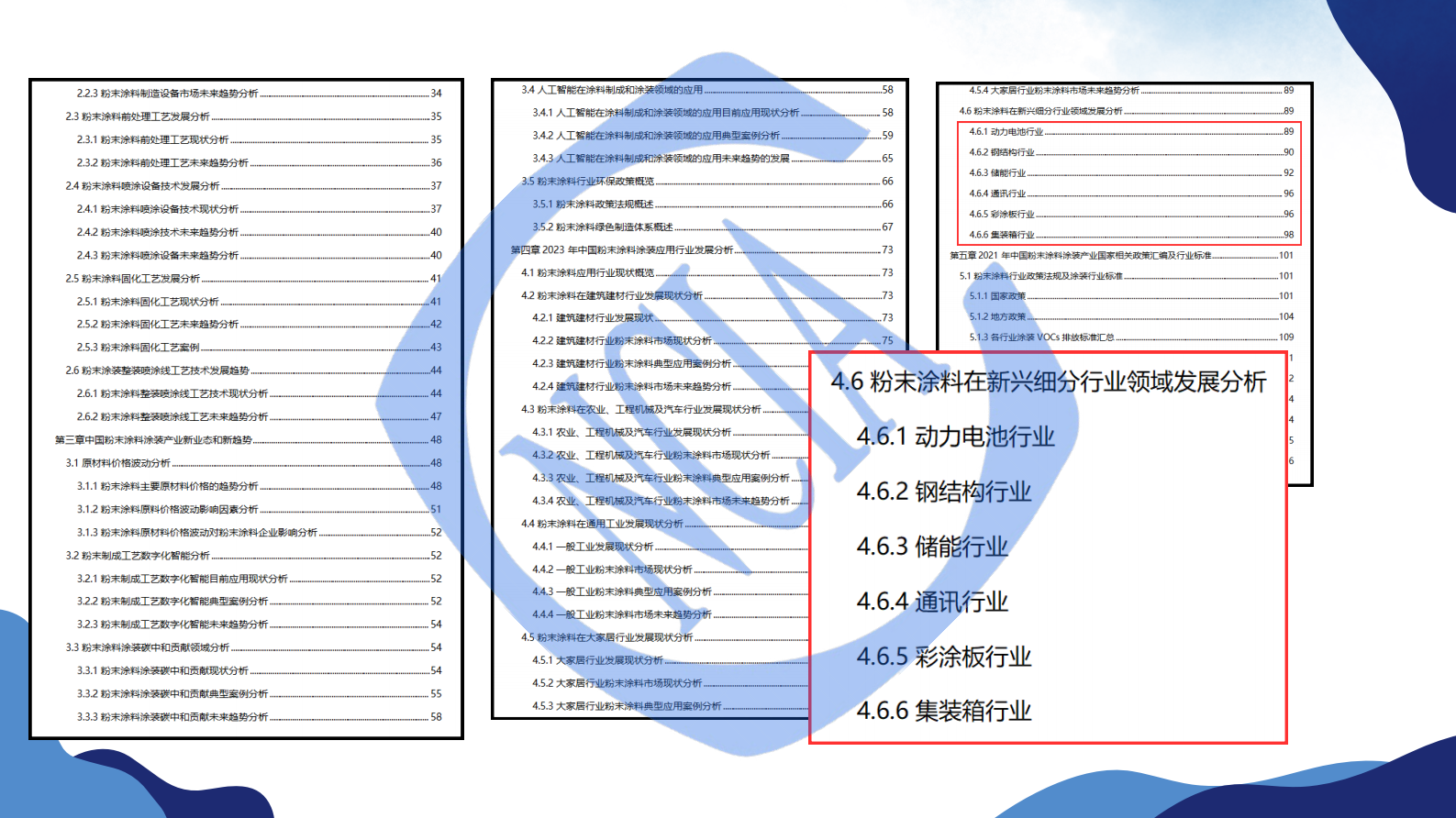 徐琥：2024粉末涂料涂装产业白皮书发布说明 第3页