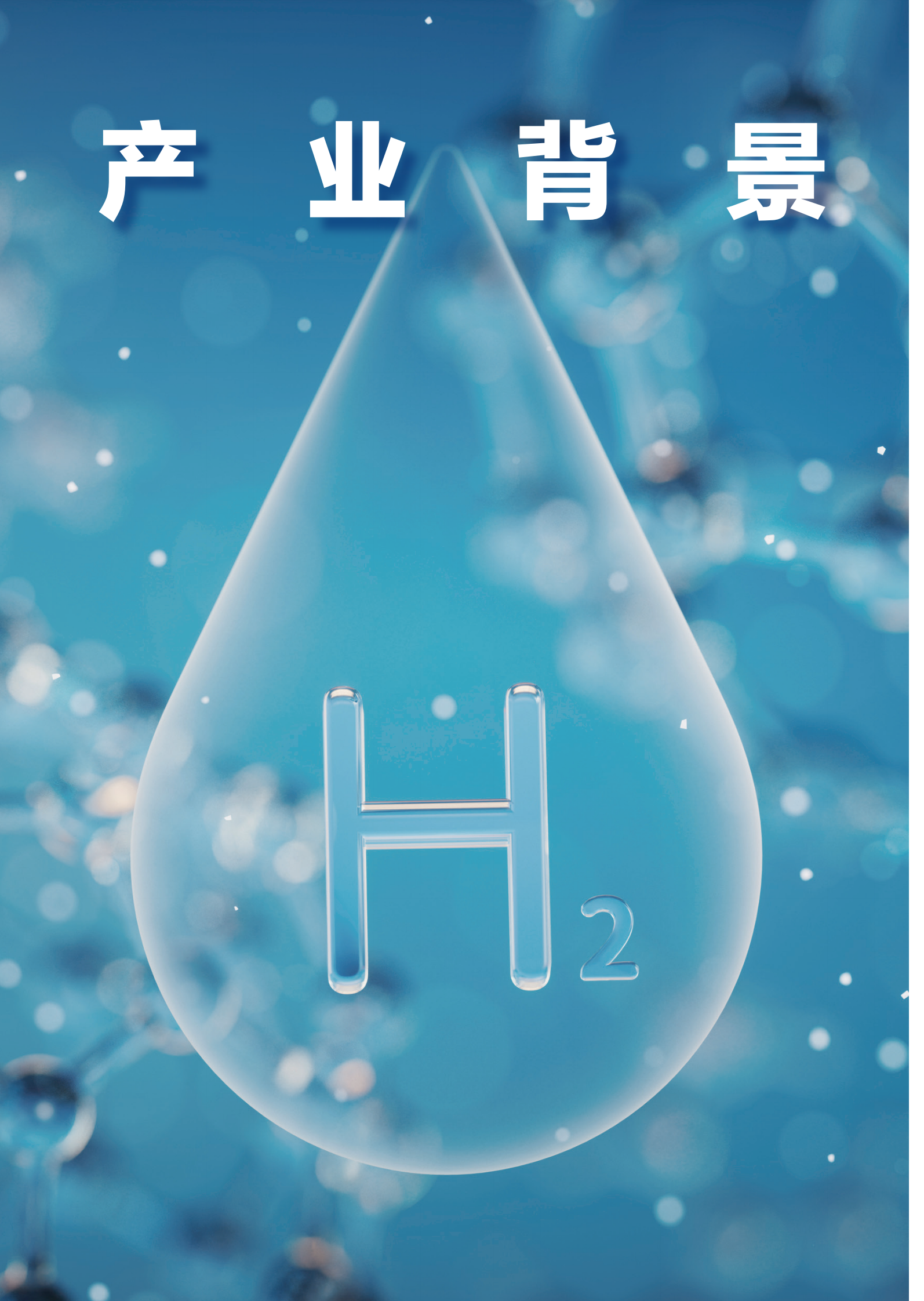 新京报&贝壳财经：2024氢能产业活力报告 第6页