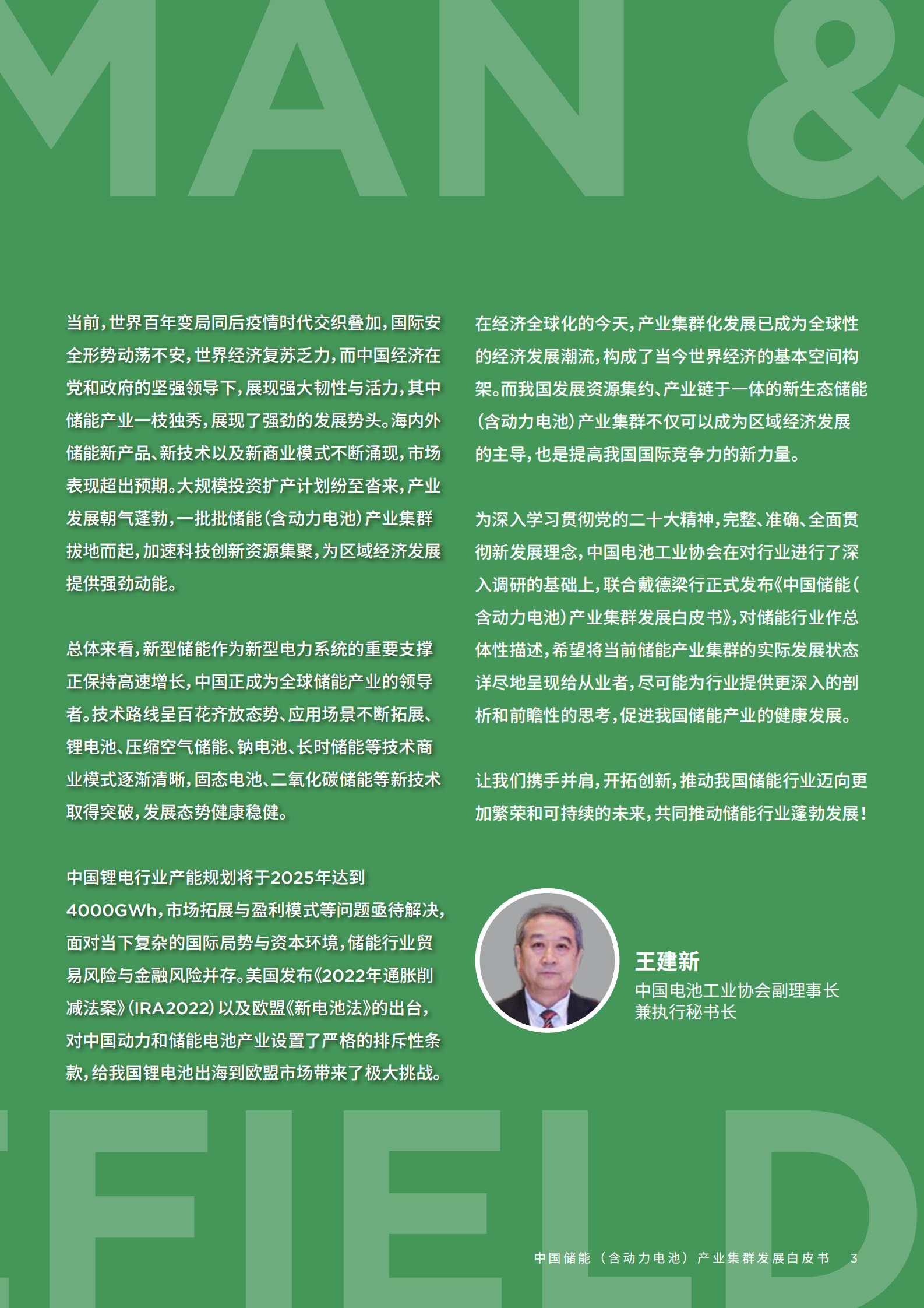 戴德梁行：2024中国储能行业(含动力电池)产业集群发展白皮书 第3页