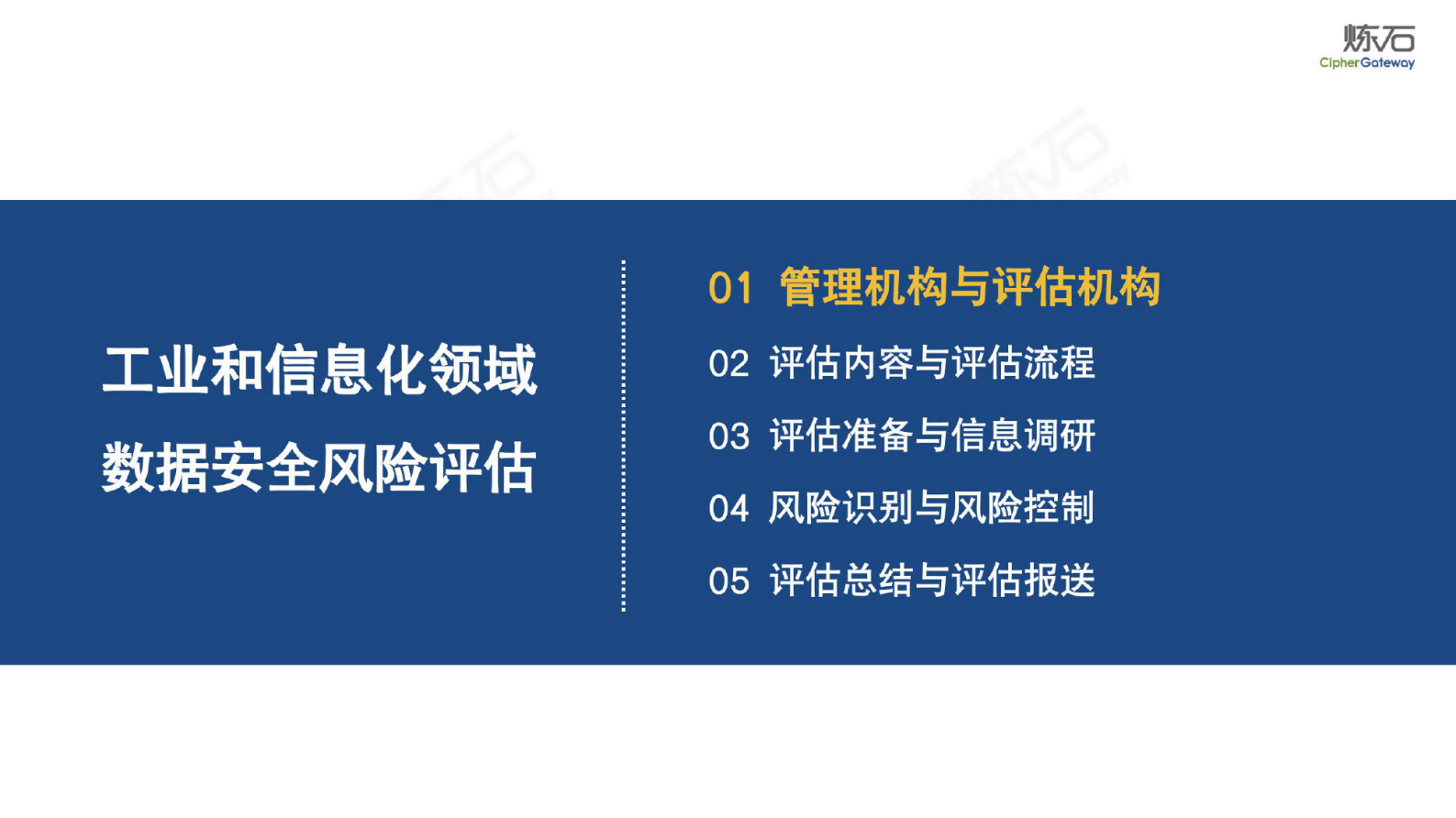 炼石：图解工信部工业和信息化领域数据安全风险评估实施细则（试行）V1.0.0 第5页