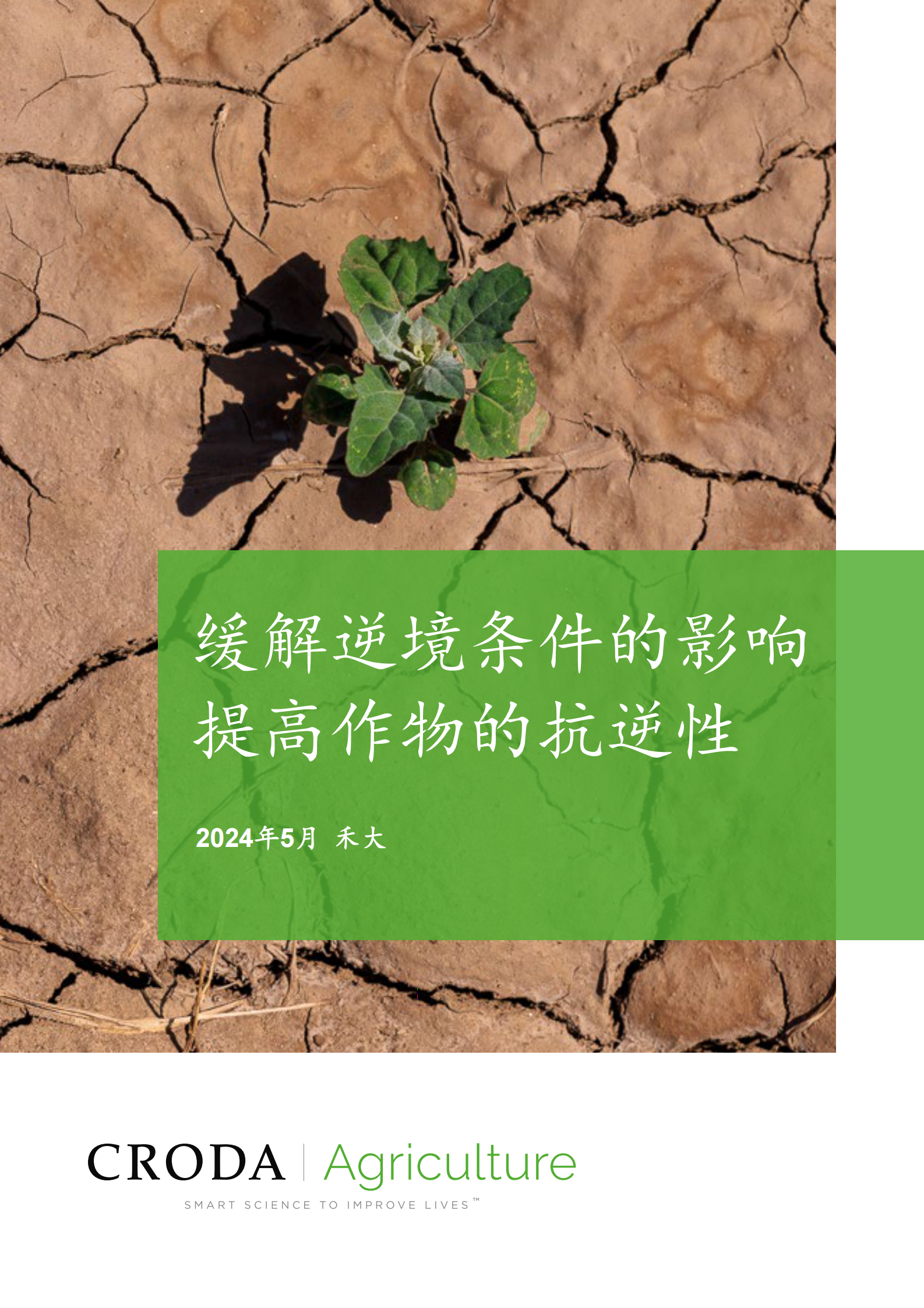 提高作物的抗逆性，缓解逆境条件的影响 第1页