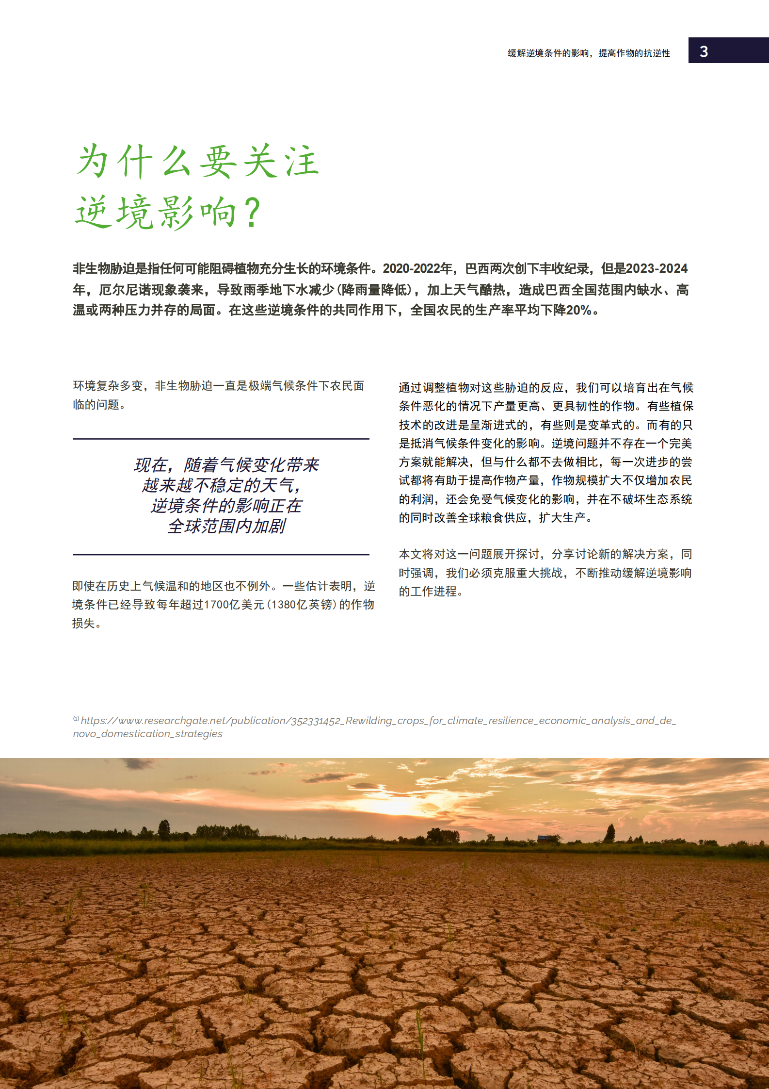 提高作物的抗逆性，缓解逆境条件的影响 第3页