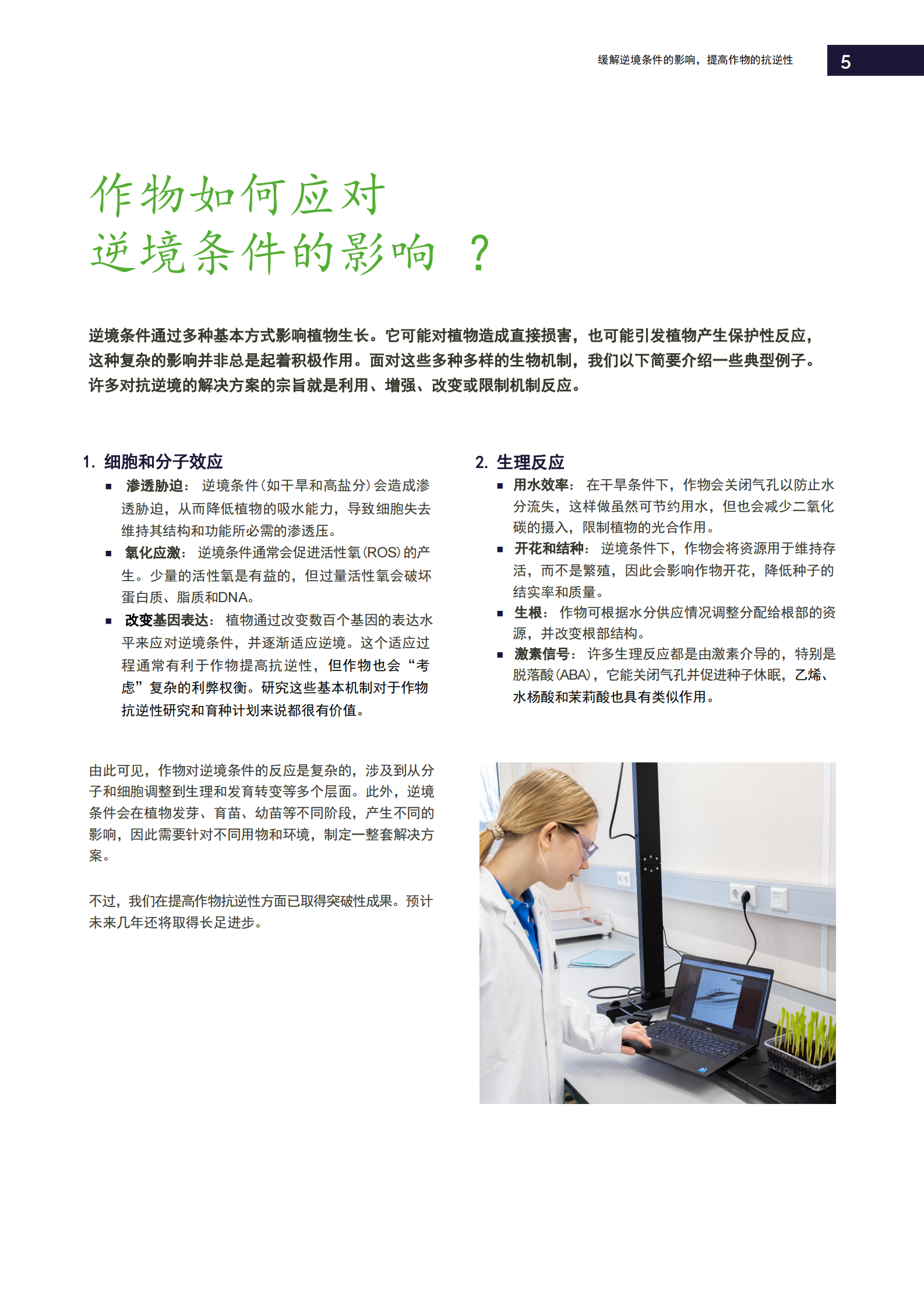提高作物的抗逆性，缓解逆境条件的影响 第5页