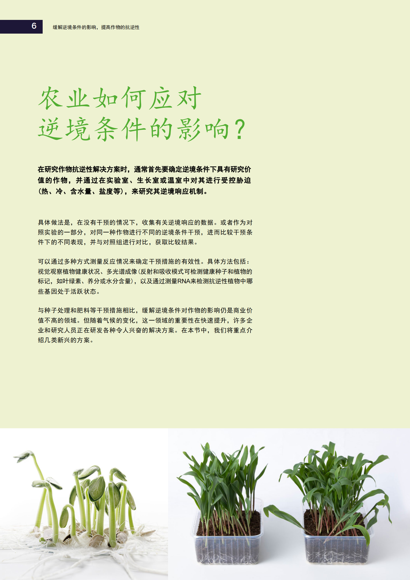 提高作物的抗逆性，缓解逆境条件的影响 第6页