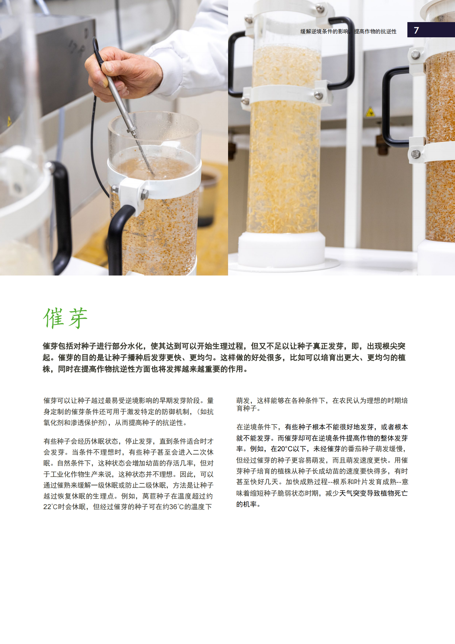 提高作物的抗逆性，缓解逆境条件的影响 第7页