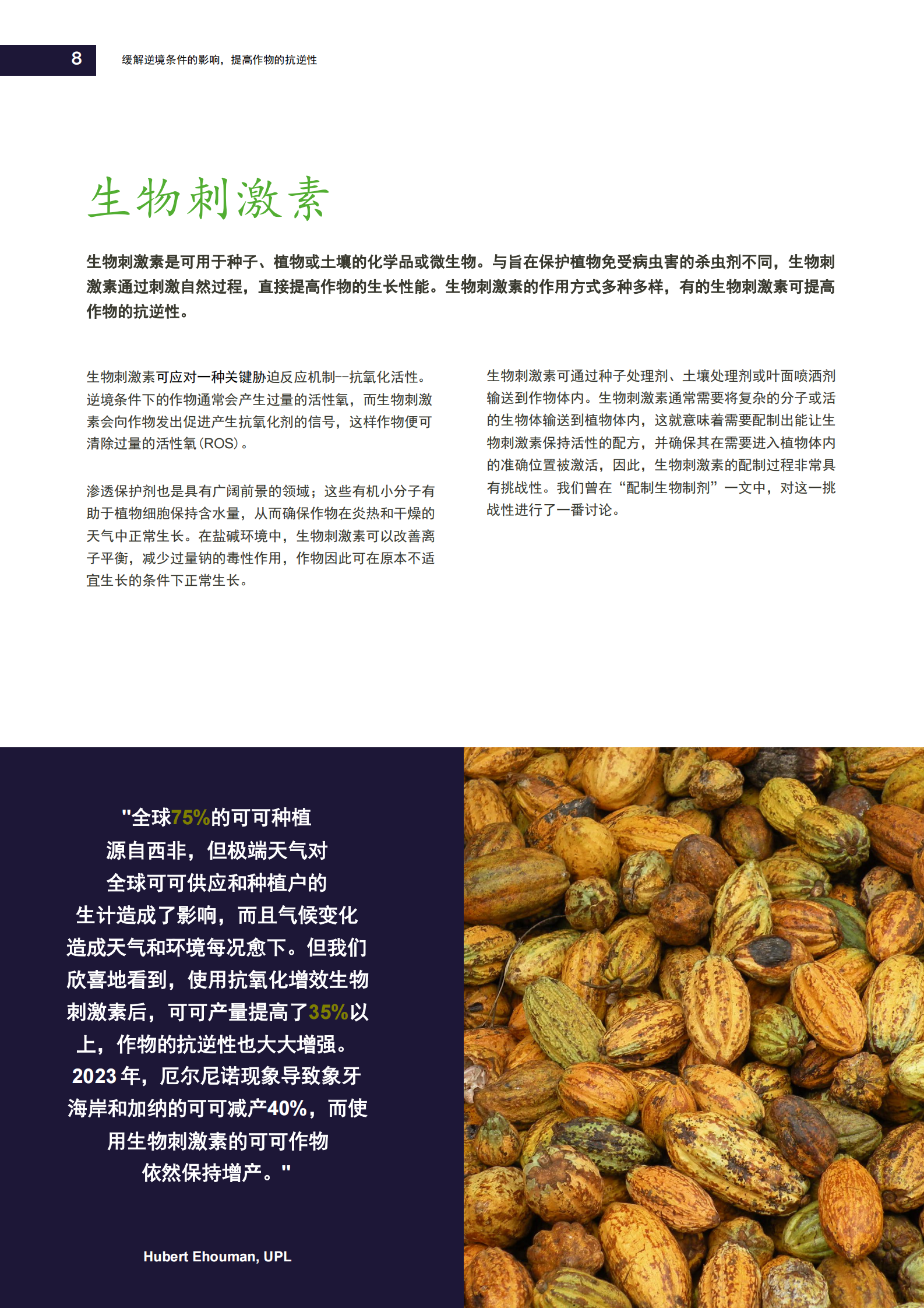 提高作物的抗逆性，缓解逆境条件的影响 第8页