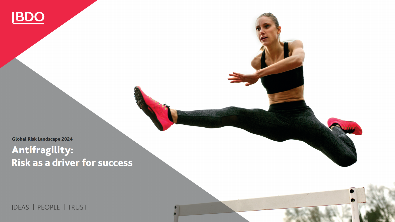 BDO：2024年全球风险态势报告（英文版） 第1页