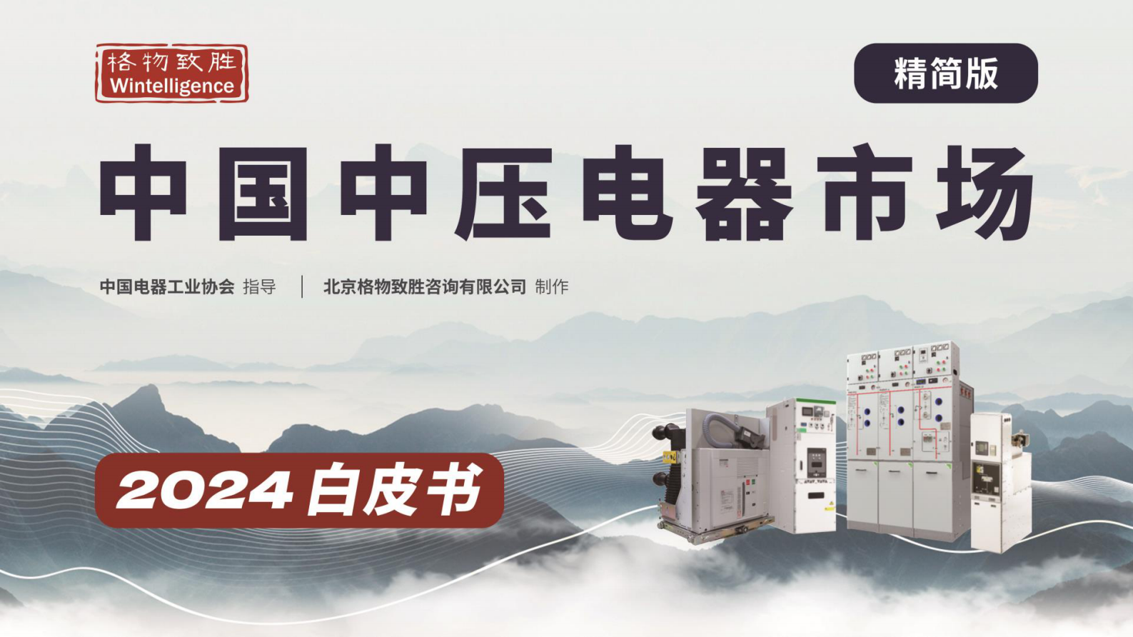 格物致胜：2024年中国中压电器白皮书（精简版） 第1页