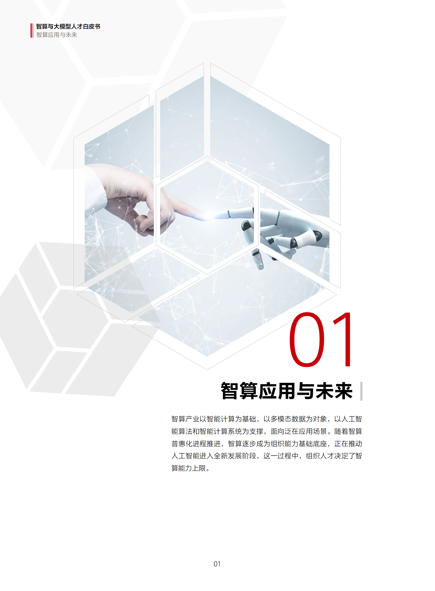 华为：智算与大模型人才白皮书 第5页