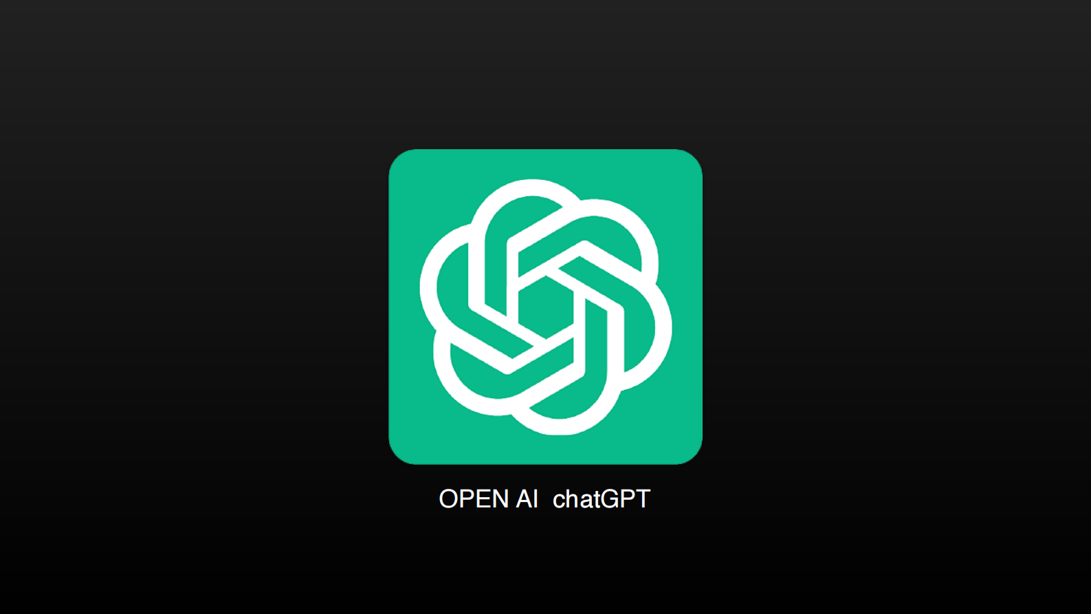 极客传媒（王良）：2024大模型金融支付类企业ToC应用探索与落地报告 第3页