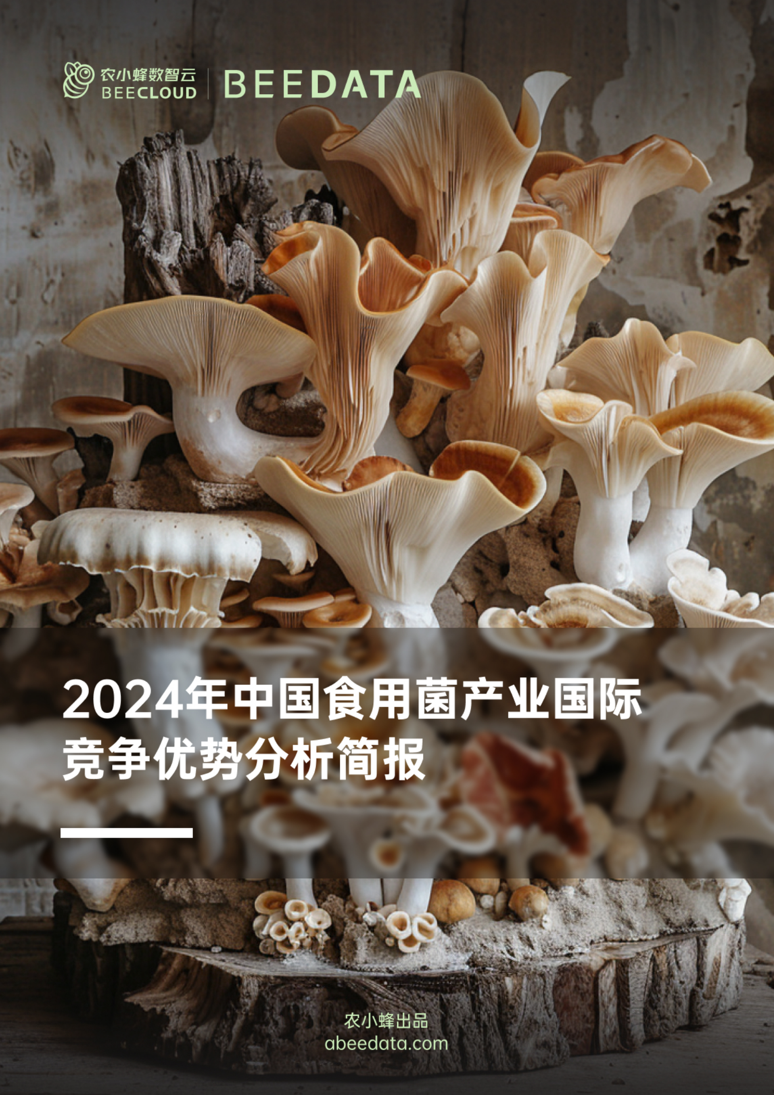 农小蜂：2024年中国食用菌产业国际竞争优势分析简报 第1页