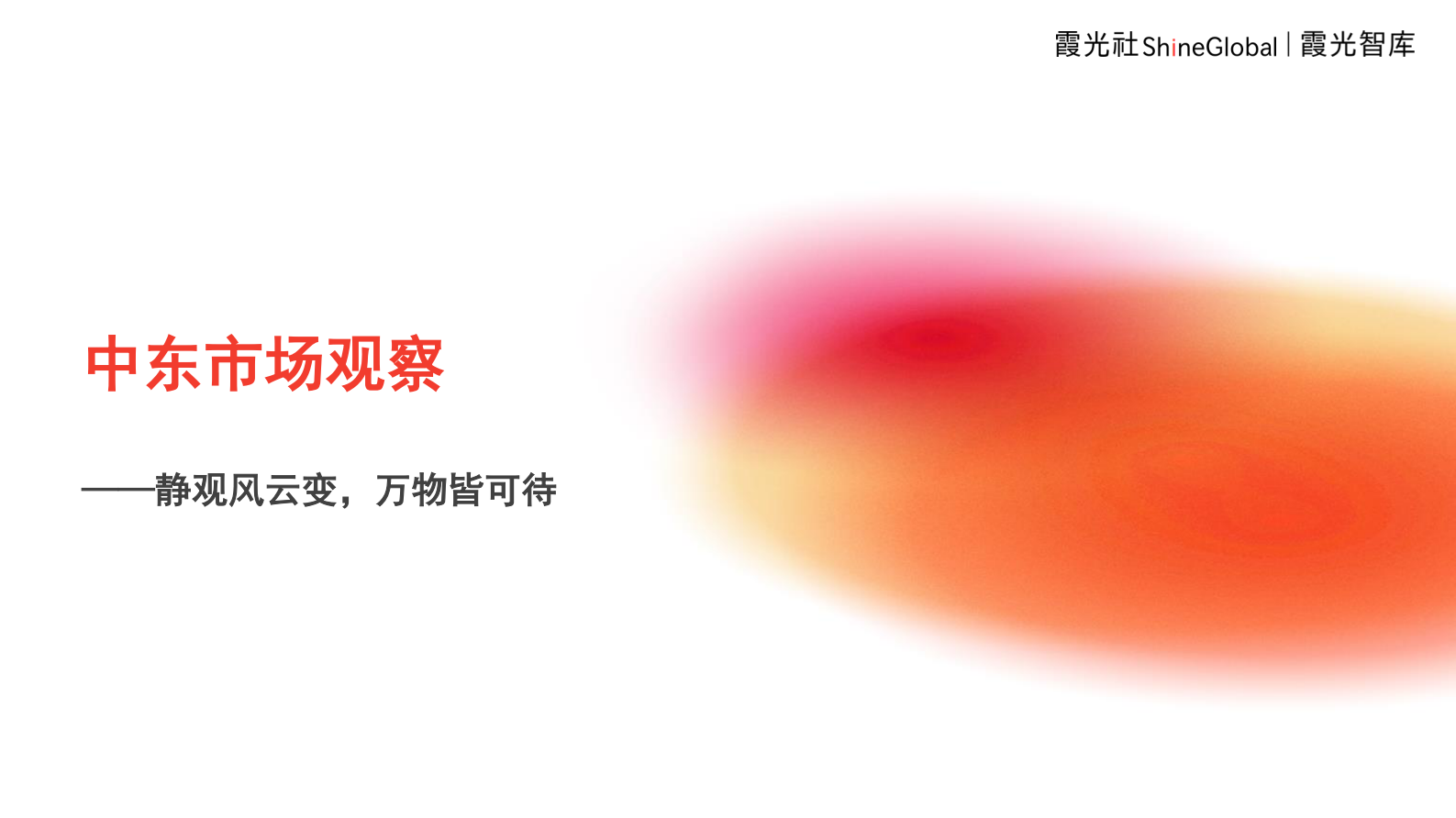 霞光智库：2024中东市场观察报告-静观风云变万物皆可待 第1页