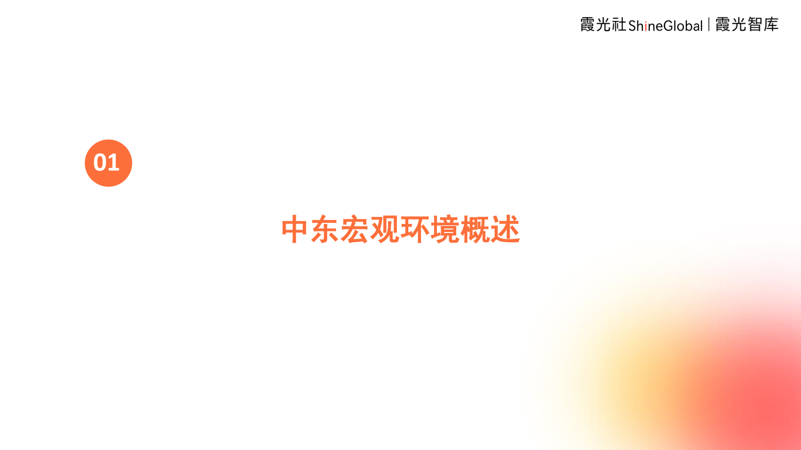 霞光智库：2024中东市场观察报告-静观风云变万物皆可待 第3页