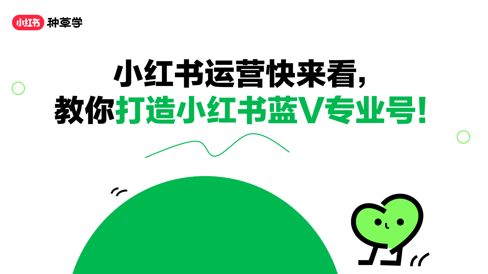 小红书：教你打造小红书蓝V专业号 第1页