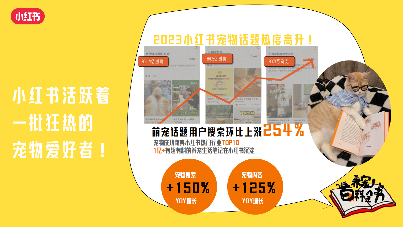 小红书：2024年养宠百科全书通案 第3页