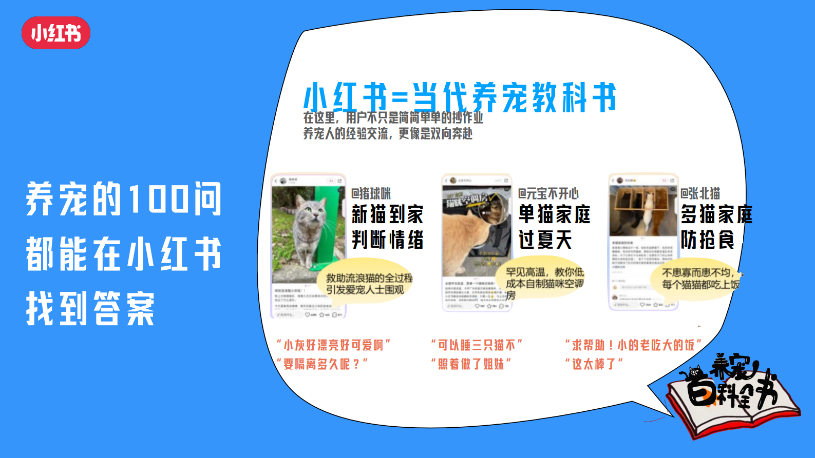 小红书：2024年养宠百科全书通案 第4页