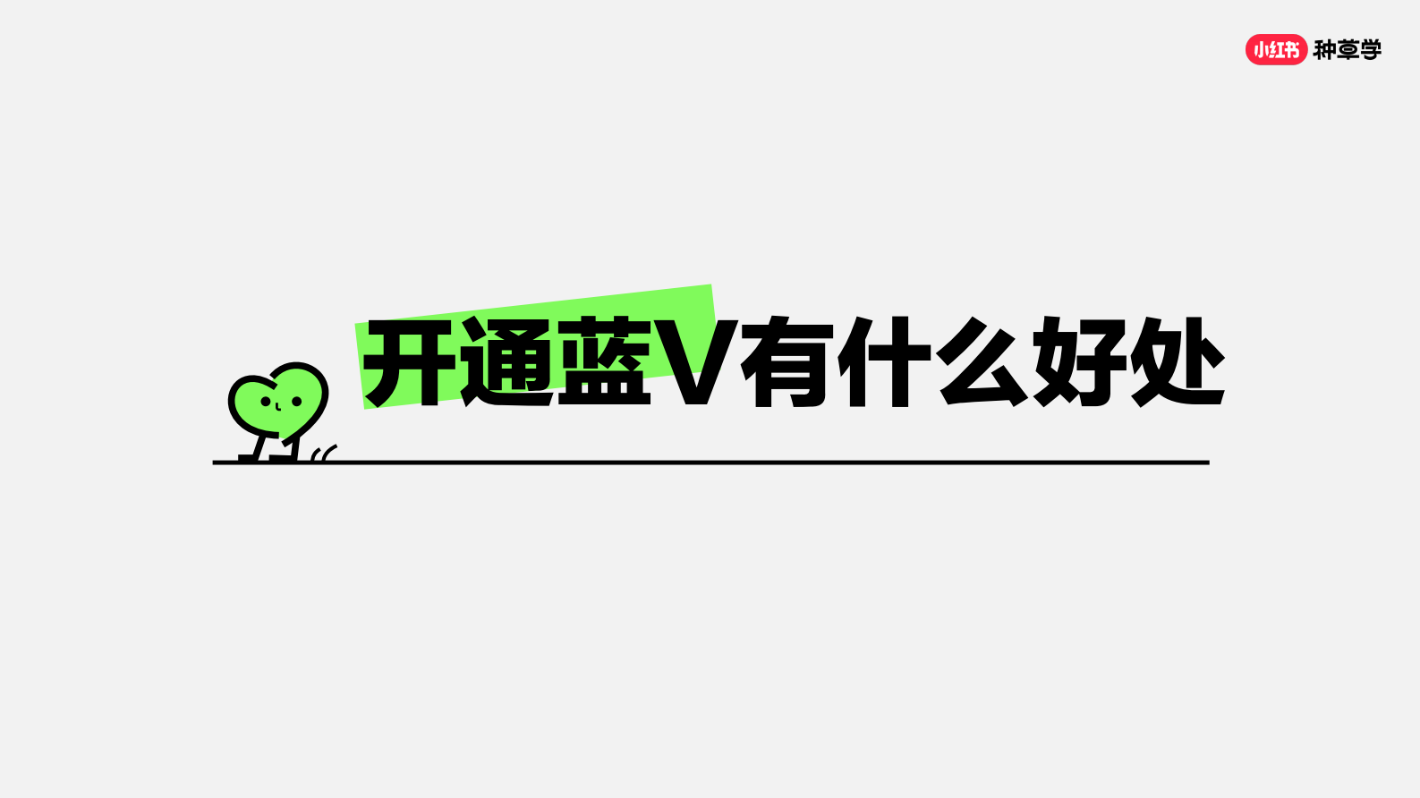 小红书：教你打造小红书蓝V专业号 第6页