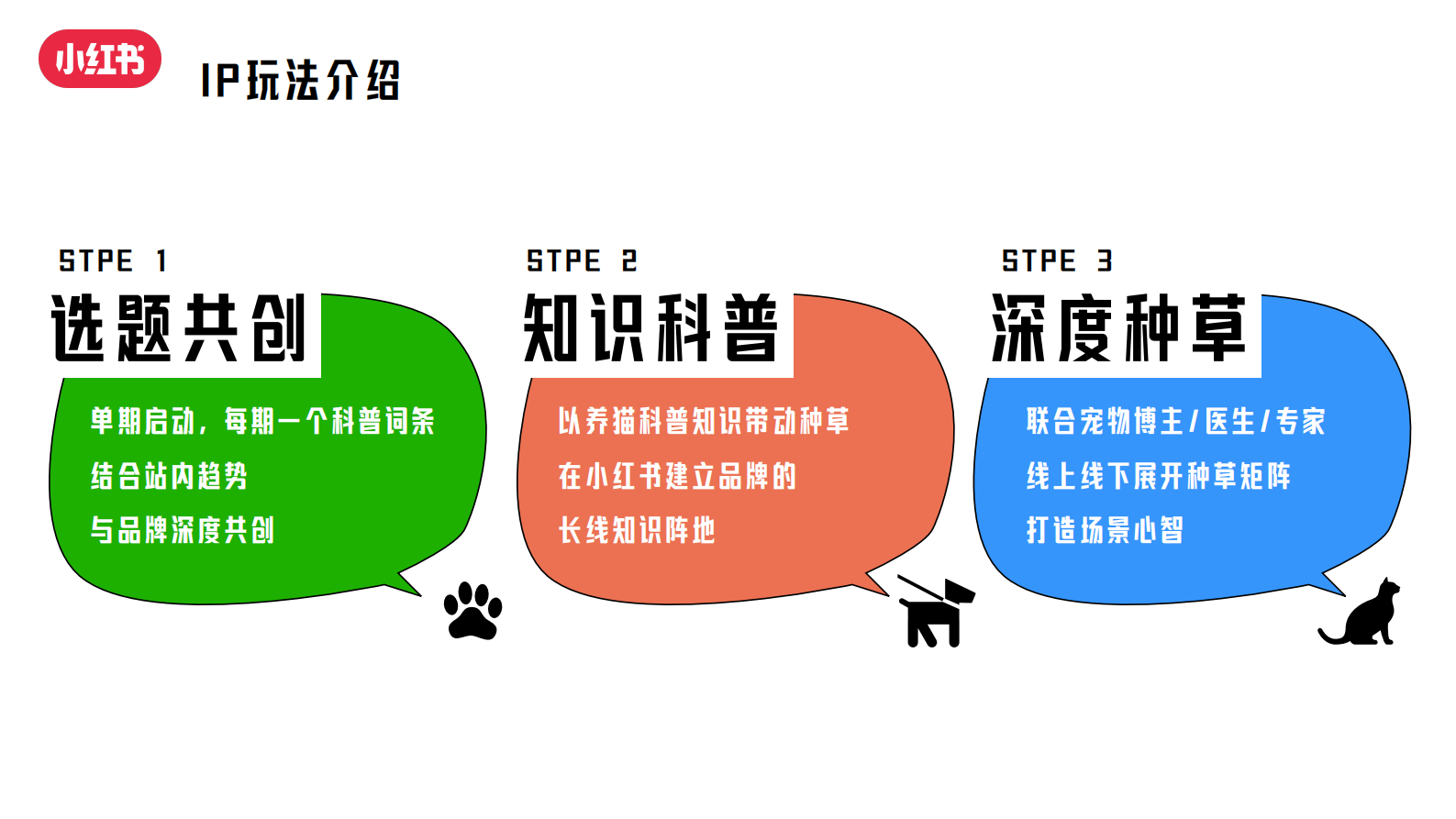 小红书：2024年养宠百科全书通案 第6页