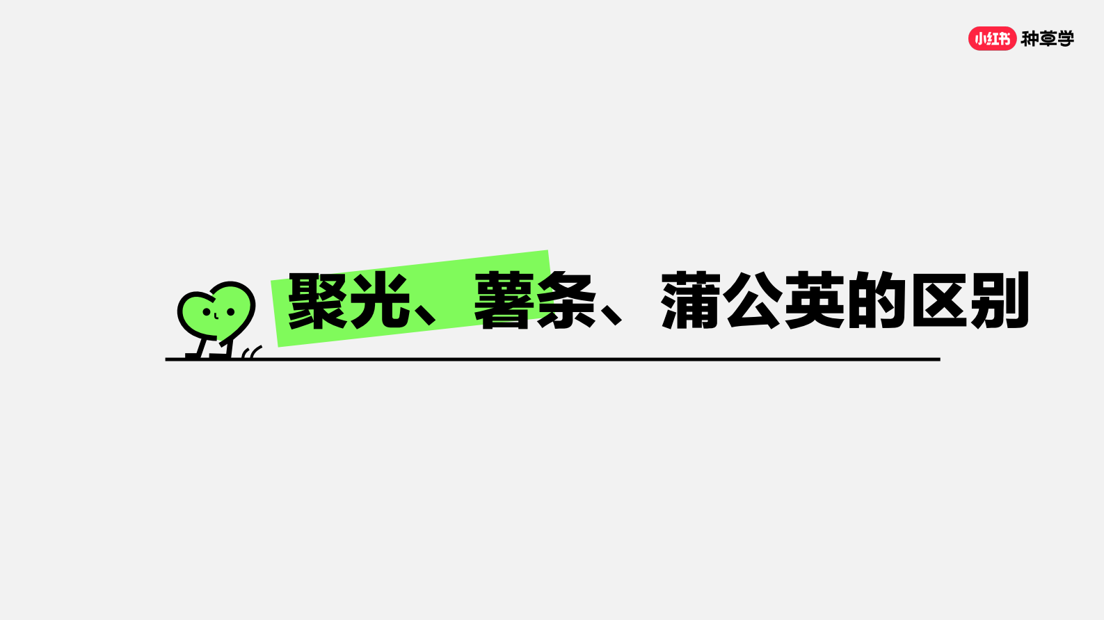 小红书：教你打造小红书蓝V专业号 第8页
