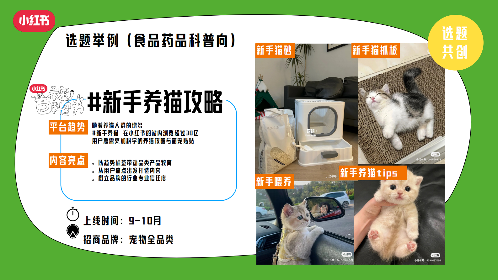 小红书：2024年养宠百科全书通案 第8页
