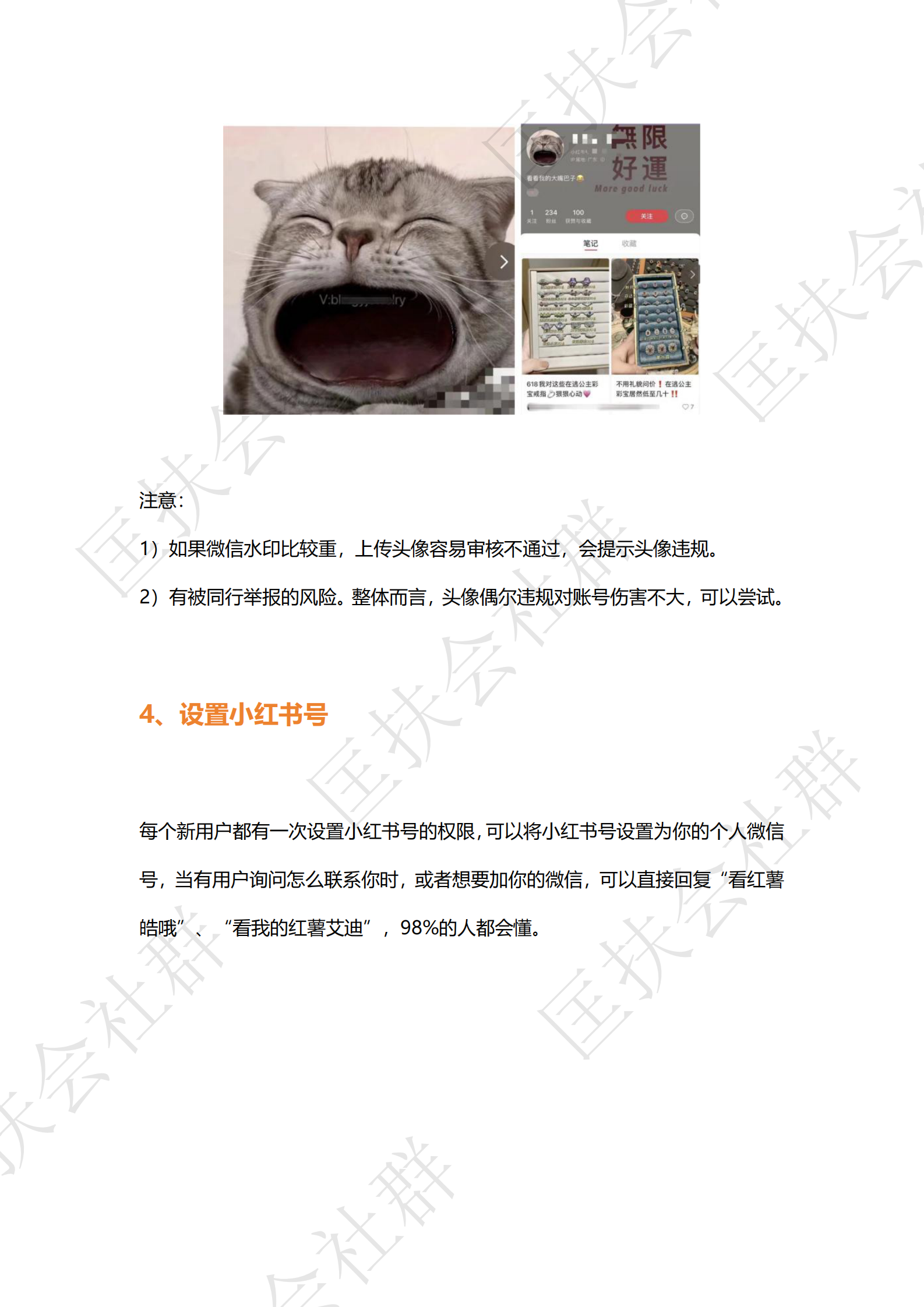 小红薯引流私域的12个方法 第6页