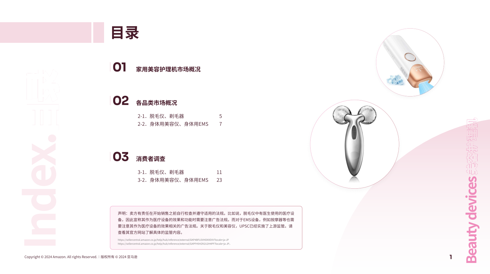 亚马逊全球开店：2024亚马逊日本机会品类家用美容护理机动向调查报告（脱毛仪，剃毛器） 第2页