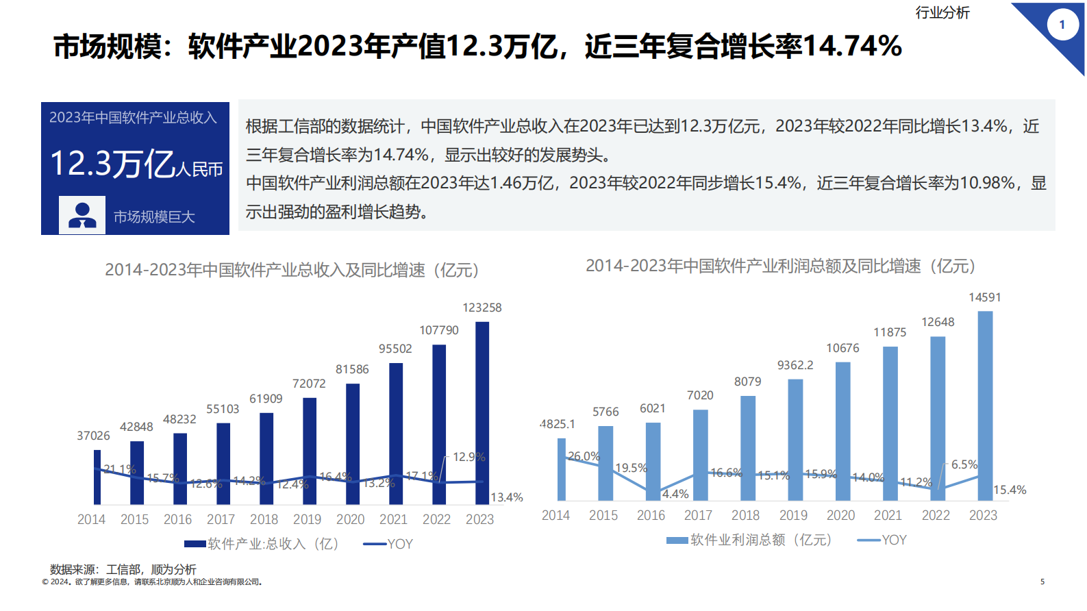 顺为咨询：2024软件行业组织效能报告 第5页