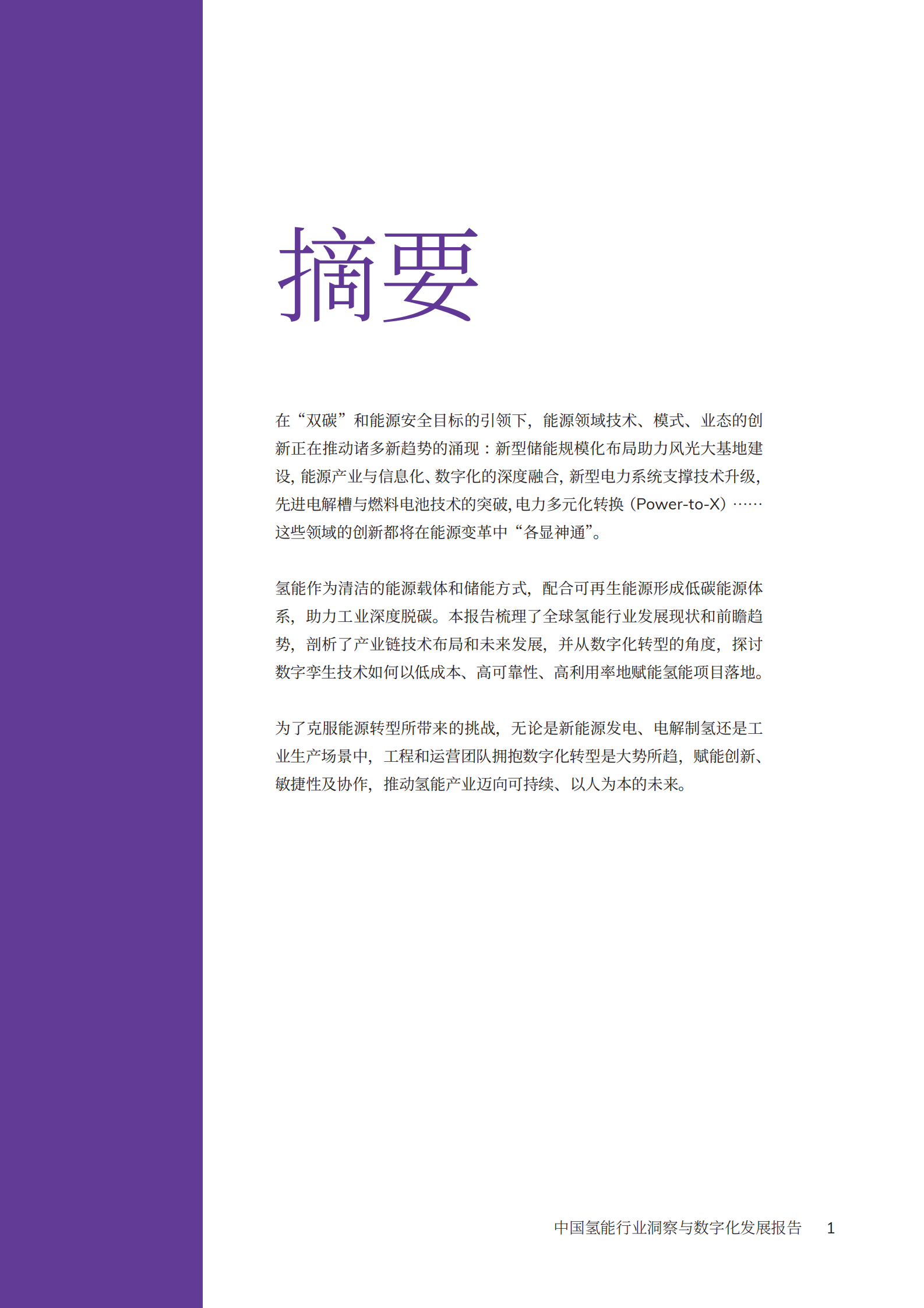 剑维软件：2023年中国氢能行业洞察与数字化发展报告 第2页