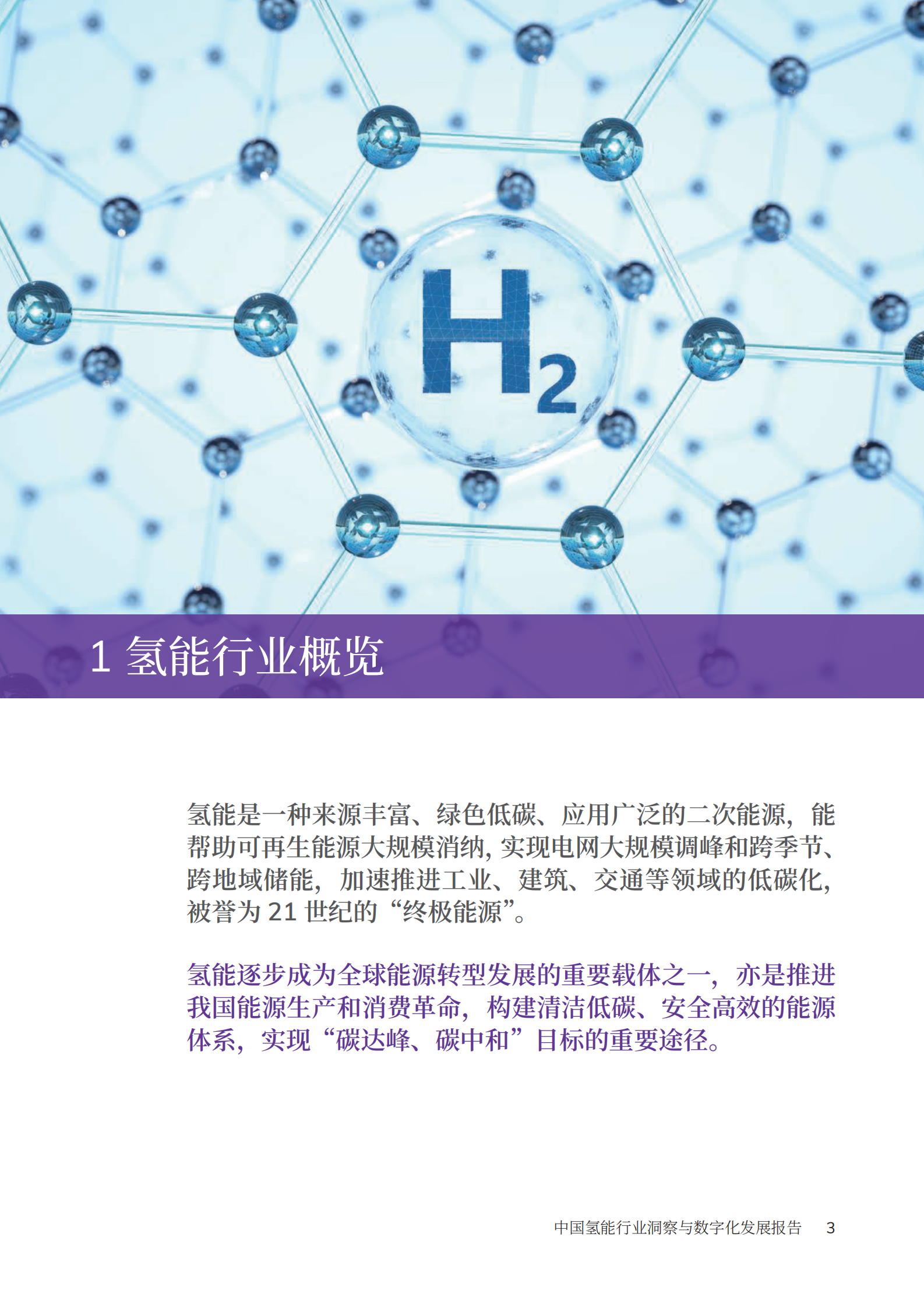 剑维软件：2023年中国氢能行业洞察与数字化发展报告 第4页