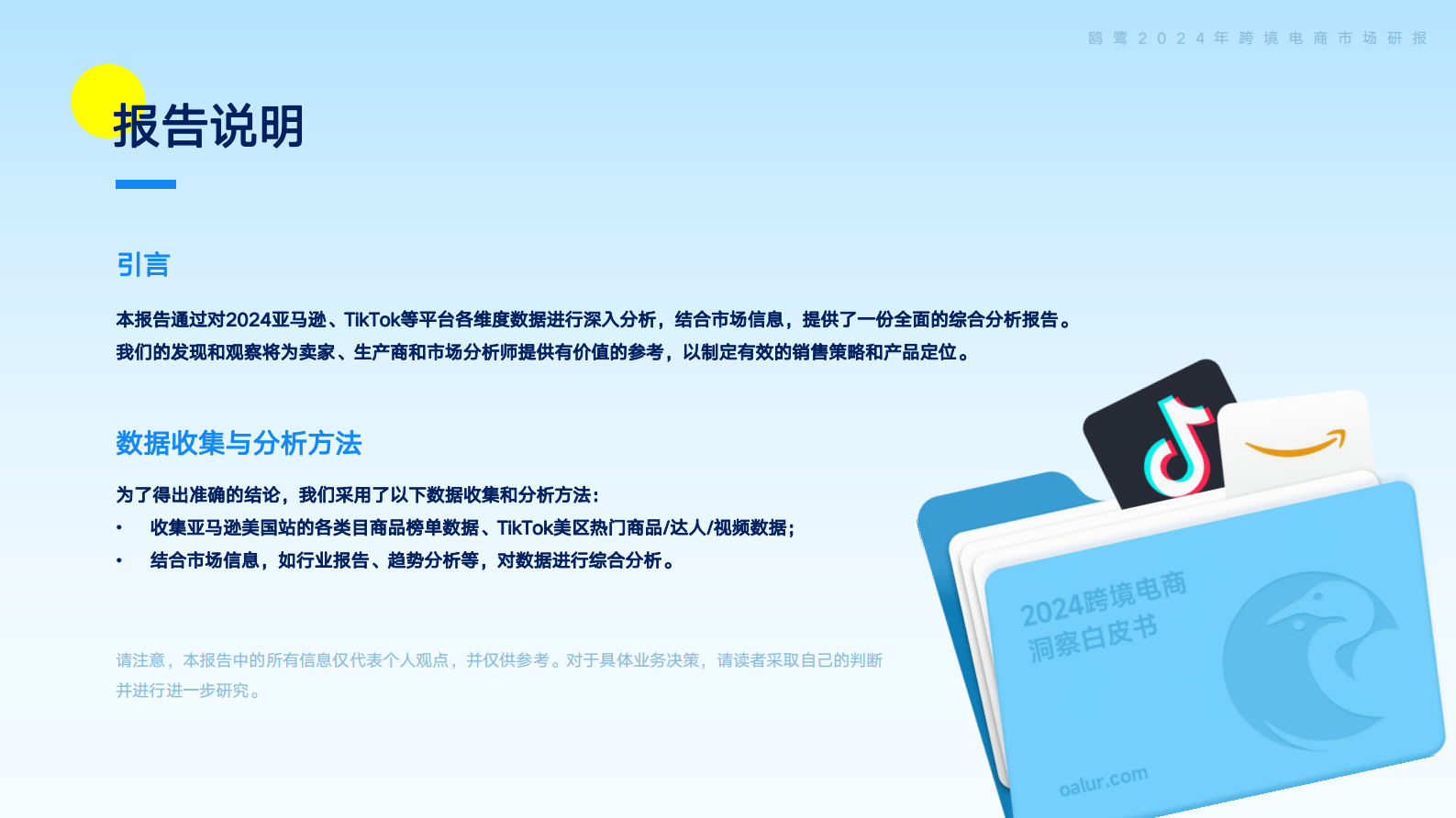 欧鹭：2024跨境电商洞察白皮书 第2页