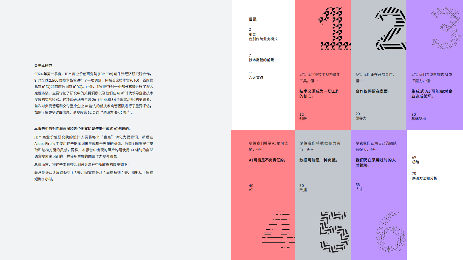 IBM：2024技术高管研究：技术高管需要识别的六大盲点 第2页