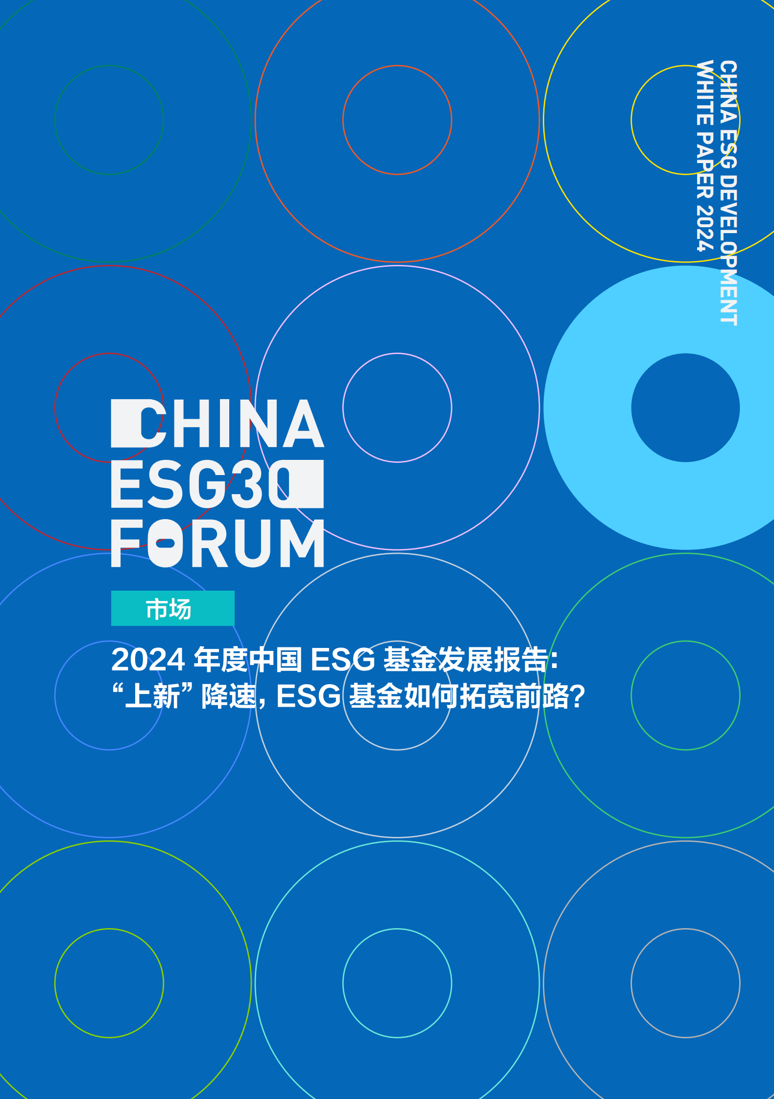 财新智库：2024中国ESG发展白皮书 第5页