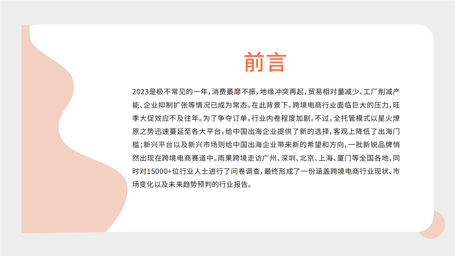 雨果跨境：2024年跨境电商行业趋势报告 第2页