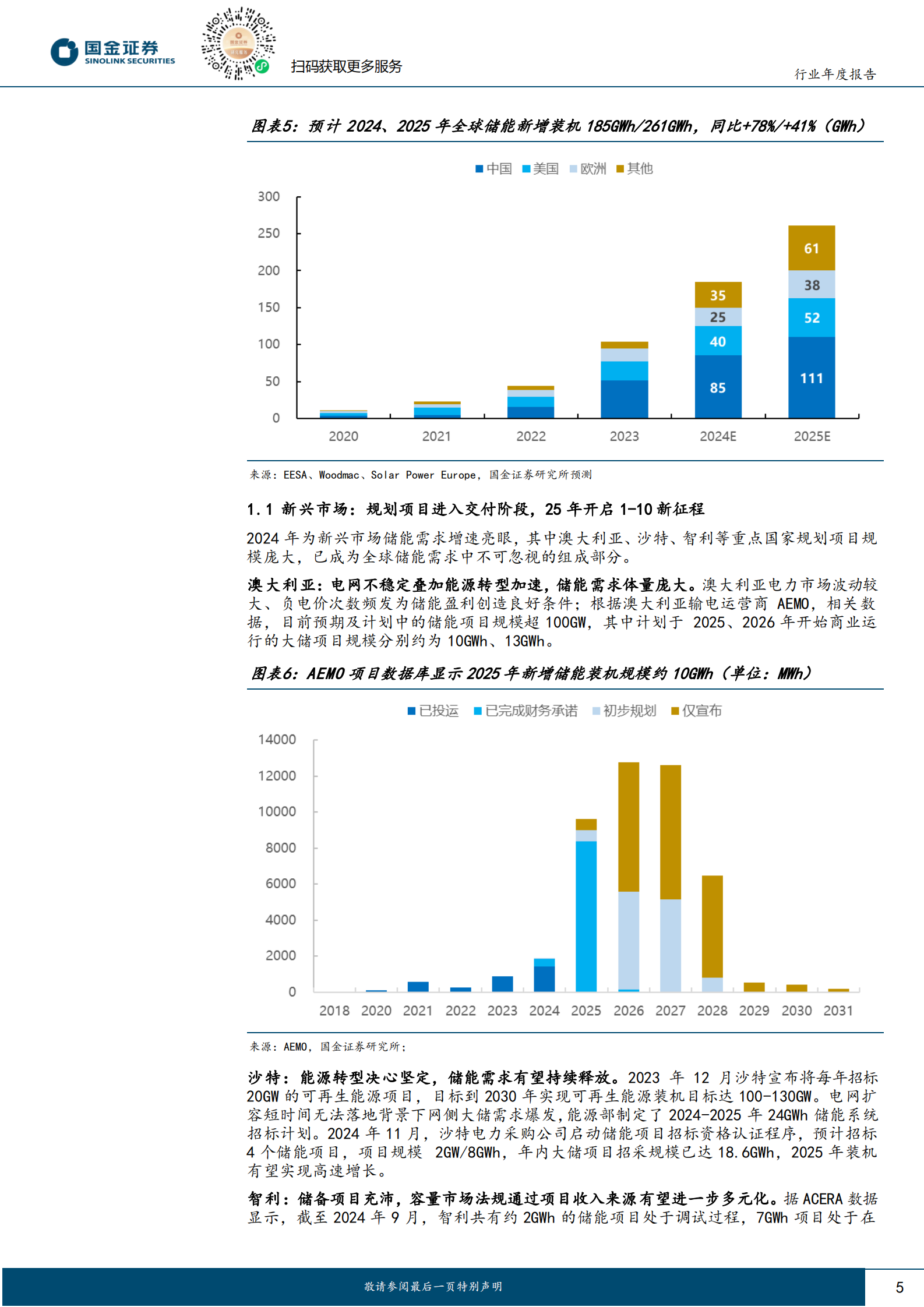 国金证券：储能行业2025年度策略：百舸争流千帆竞，唯有龙头破浪前 第5页