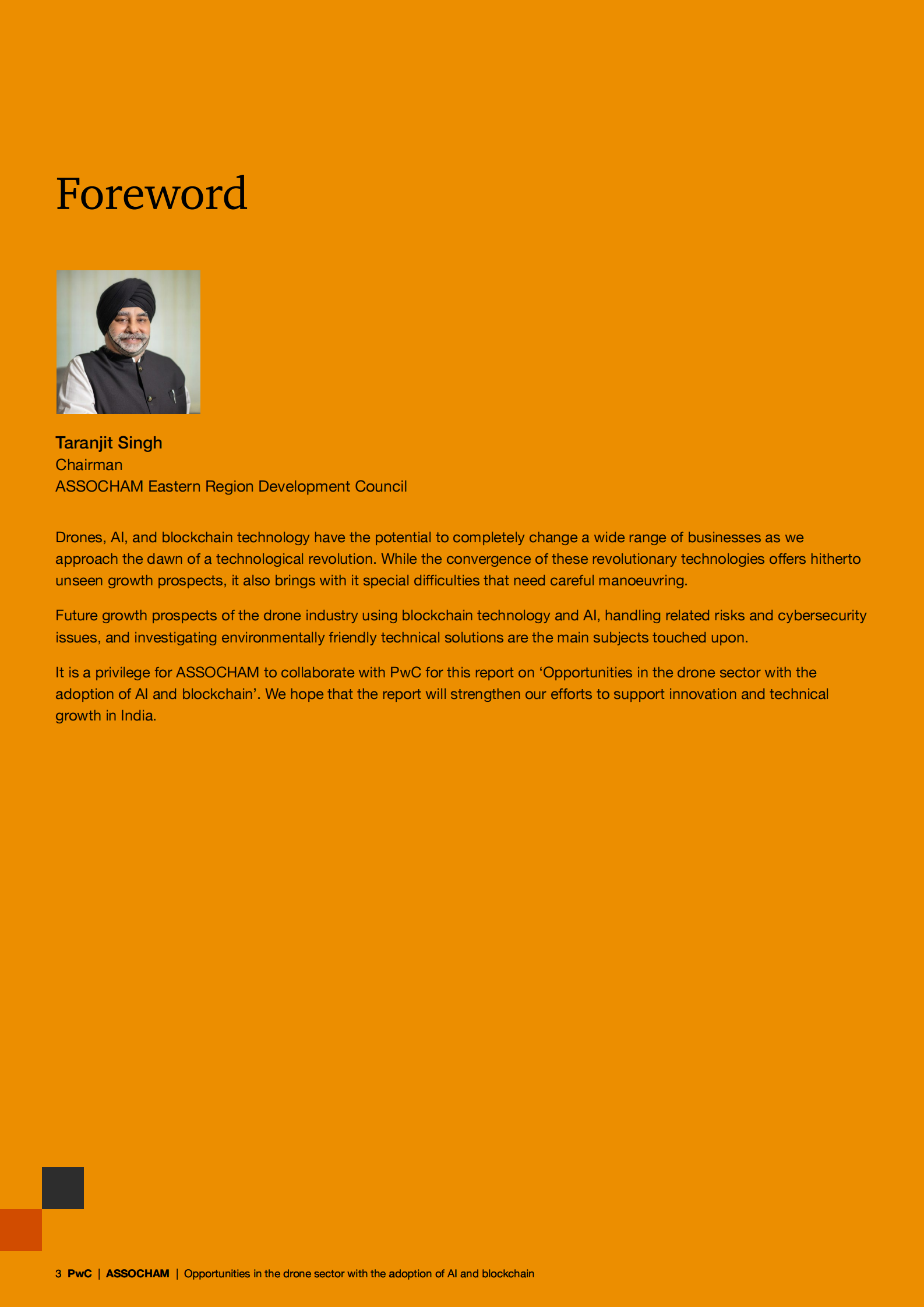 普华永道&ASSOCHAM：2024年人工智能、区块链与无人机技术的融合应用：行业机遇研究报告（英文版） 第3页