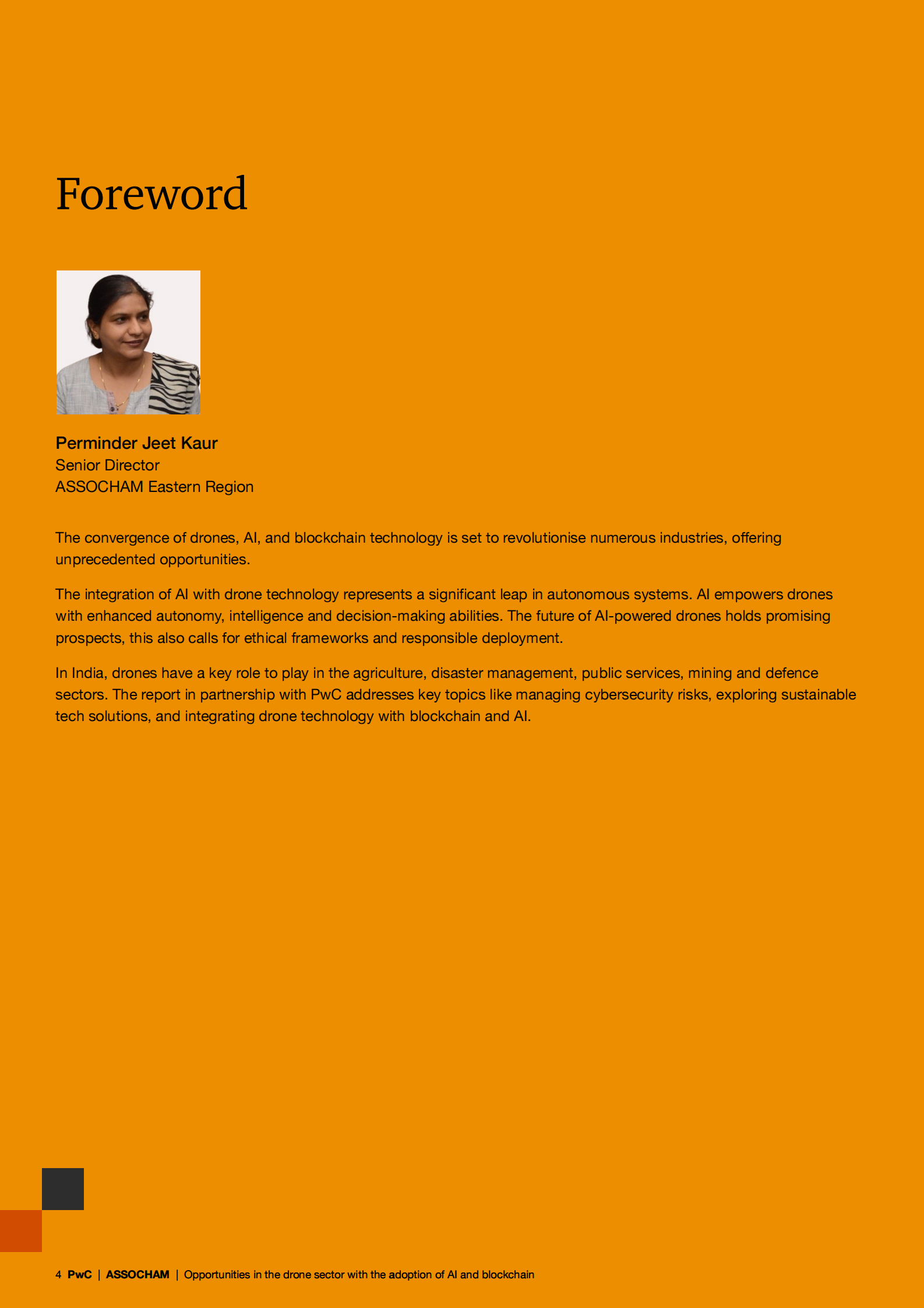 普华永道&ASSOCHAM：2024年人工智能、区块链与无人机技术的融合应用：行业机遇研究报告（英文版） 第4页