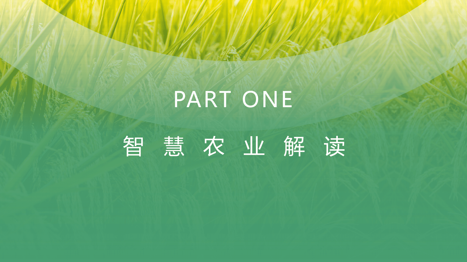 智慧农业解决方案 第3页