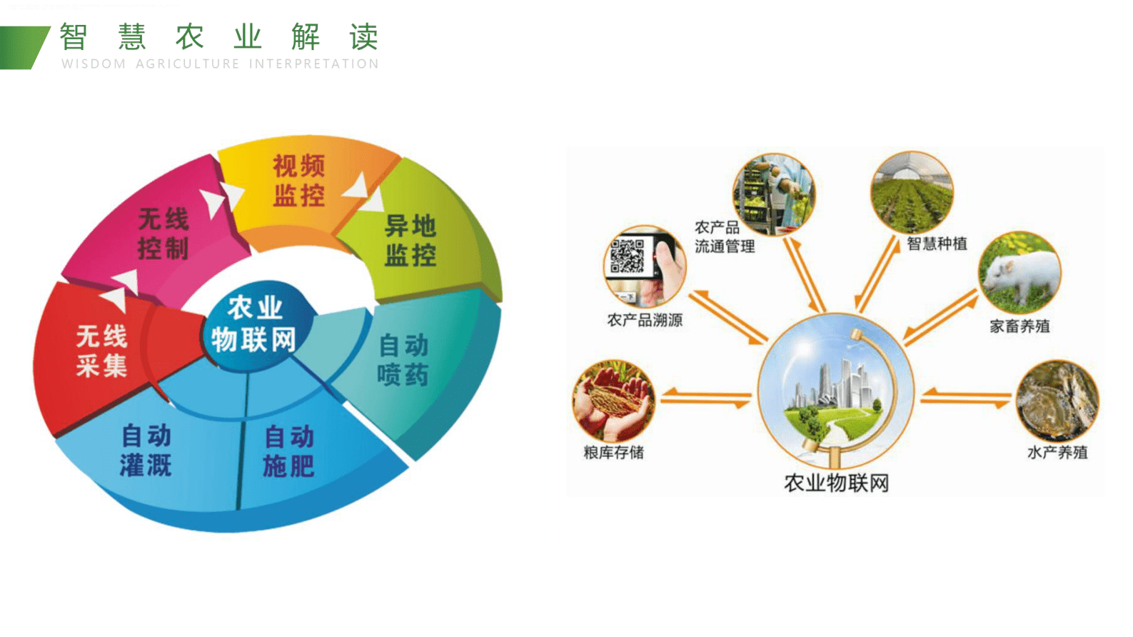智慧农业解决方案 第5页