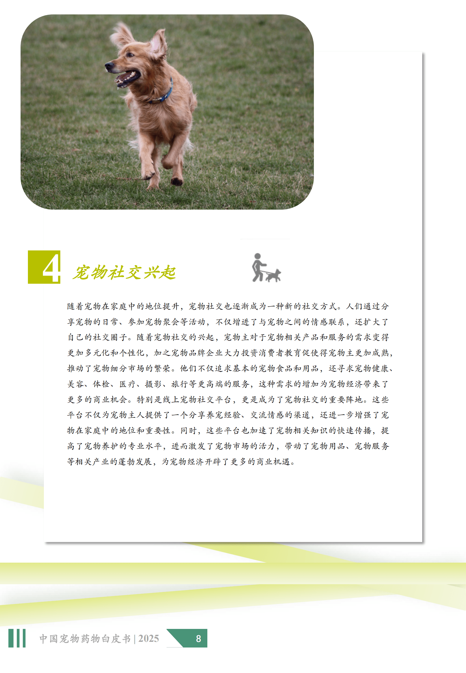沙利文：2025年中国宠物药物白皮书 第8页