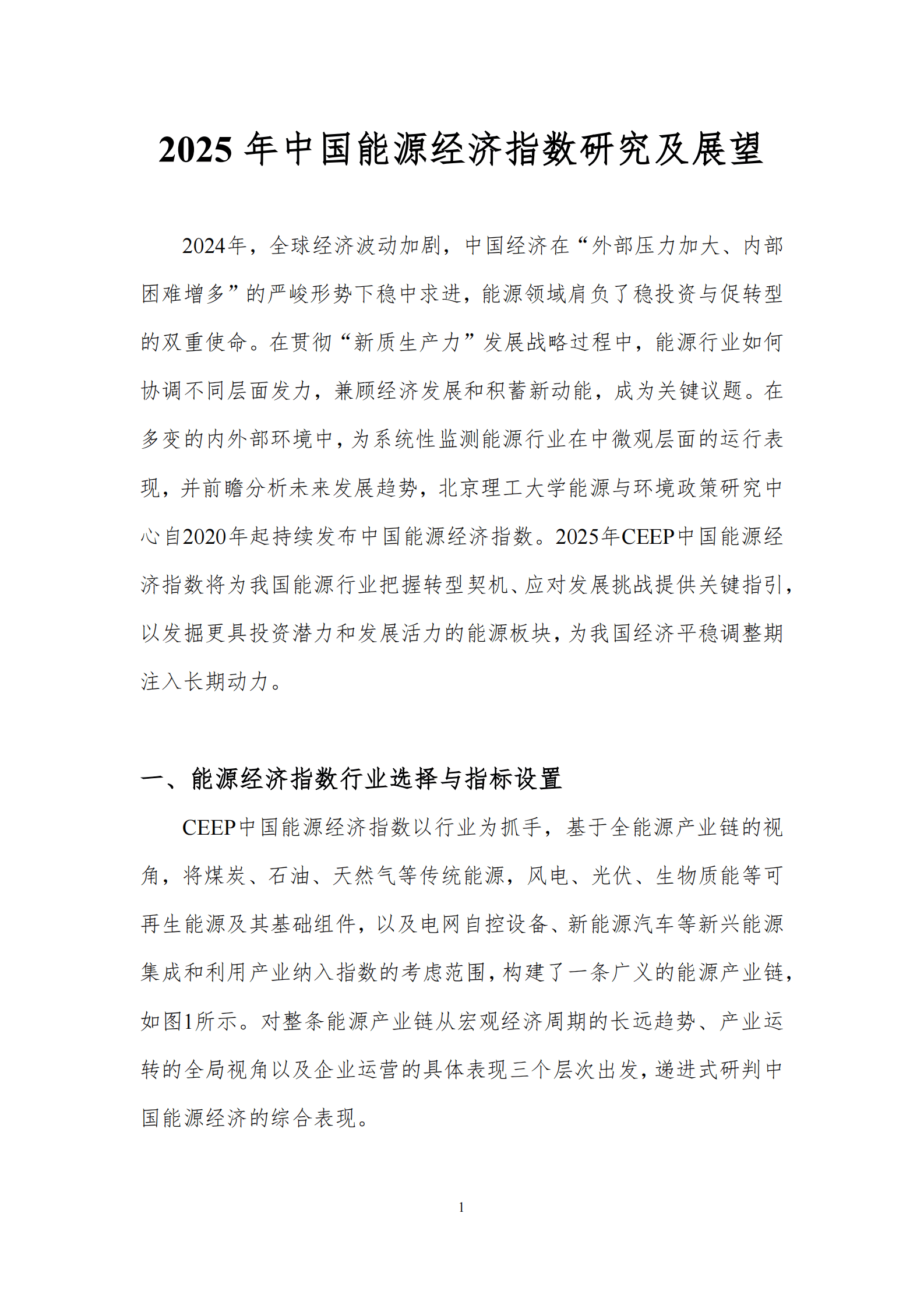 北京理工大学能源与环境政策研究中心：2025年中国能源经济指数研究及展望报告 第3页