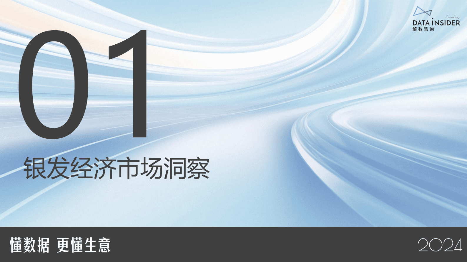 解数咨询：2024大数据下银发经济趋势前瞻 第3页