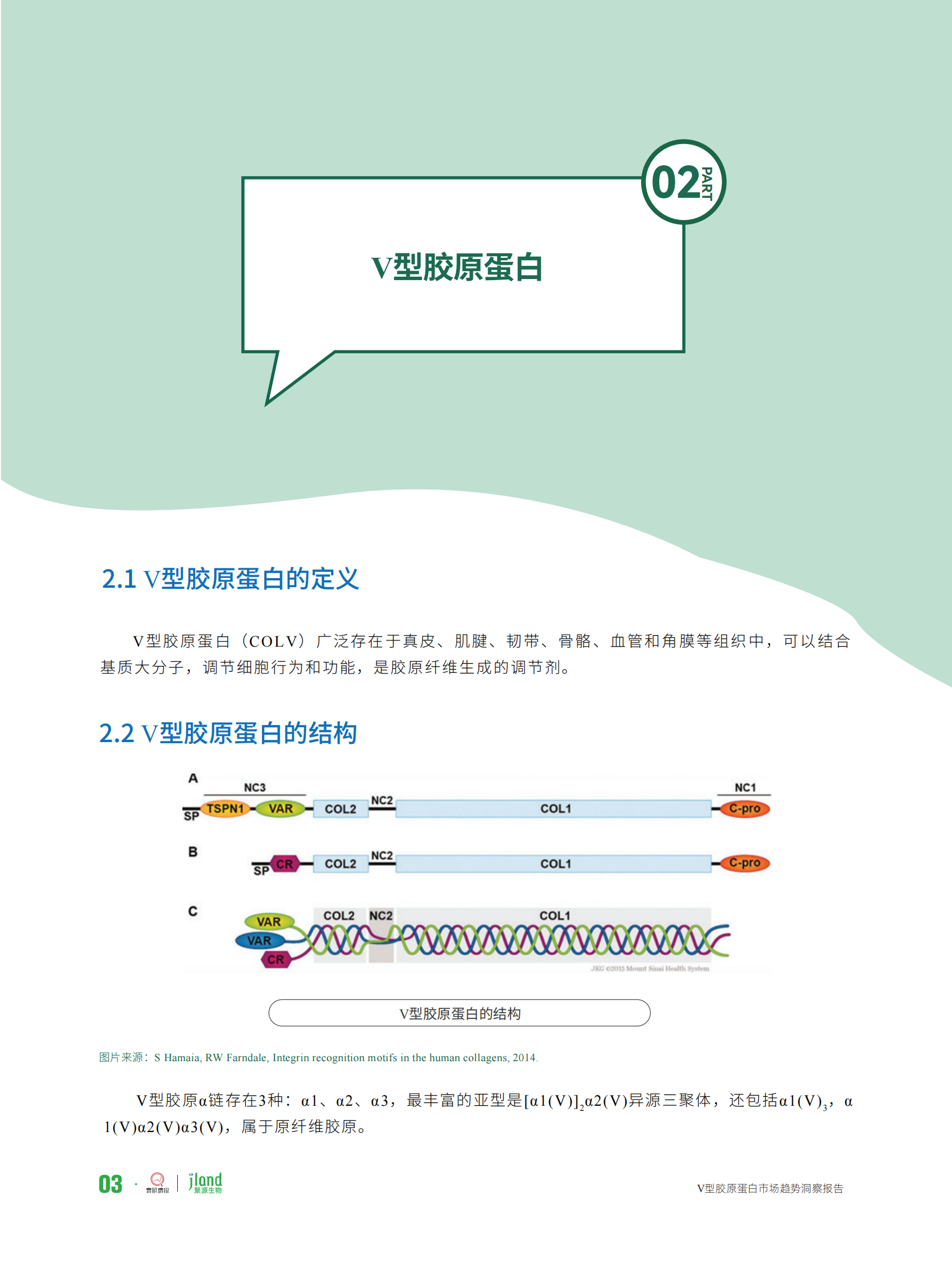 聚源生物&青眼情报：2024年型胶原蛋白市场趋势洞察报告 第7页