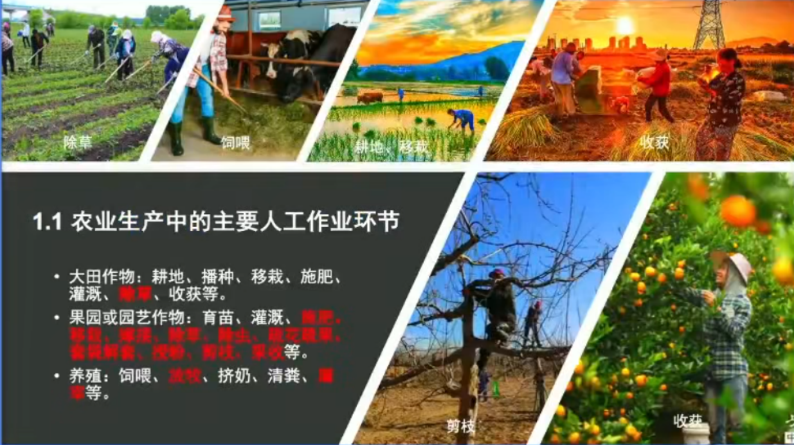 中国工程院：2024年农业机器人现状与展望报告 第4页