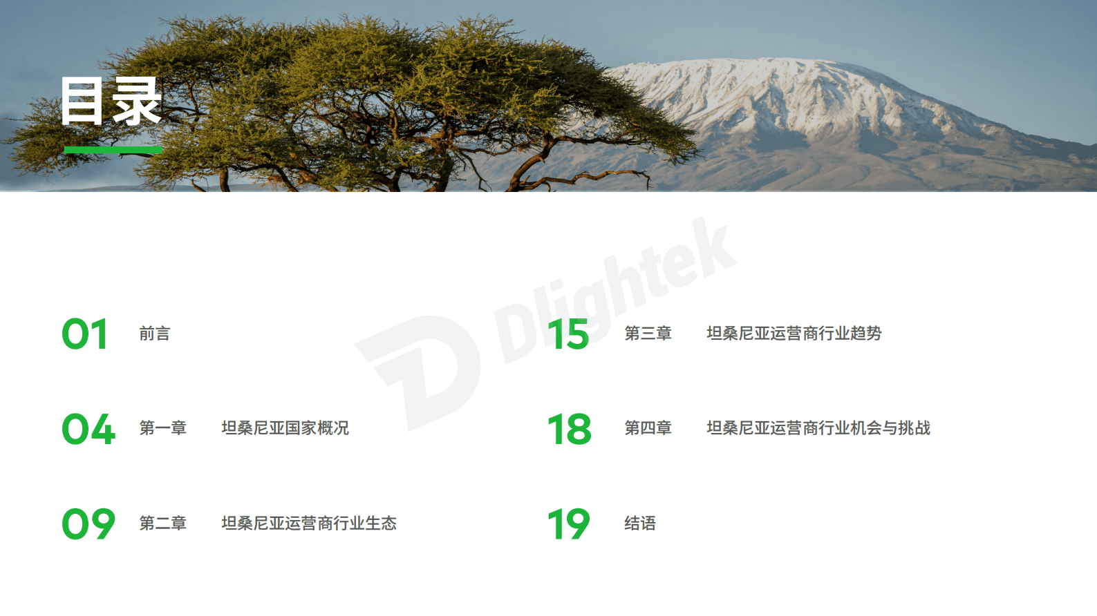 2025坦桑尼亚运营商行业报告 第3页